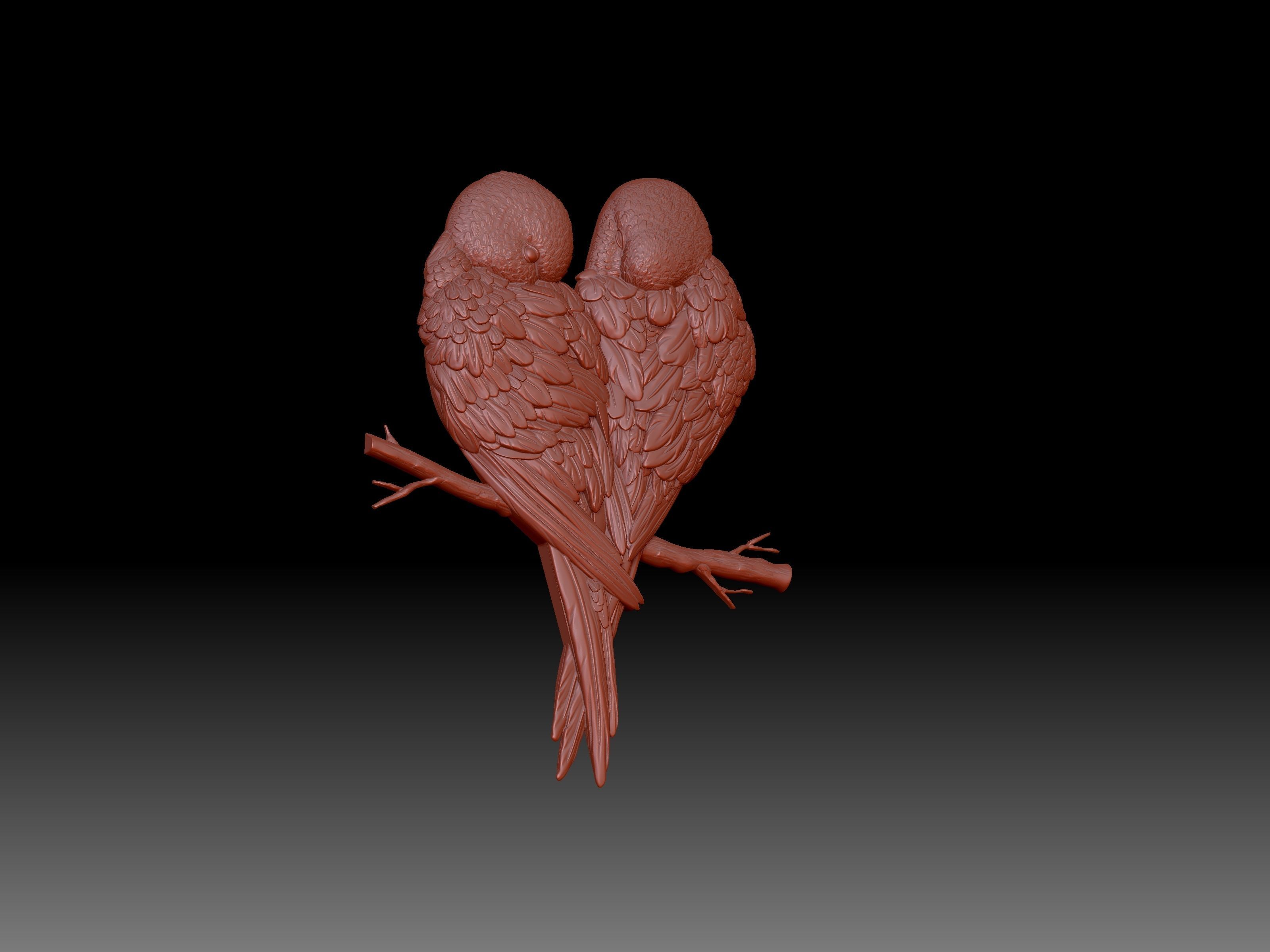 Parrots pair of on branch 3D print model_3