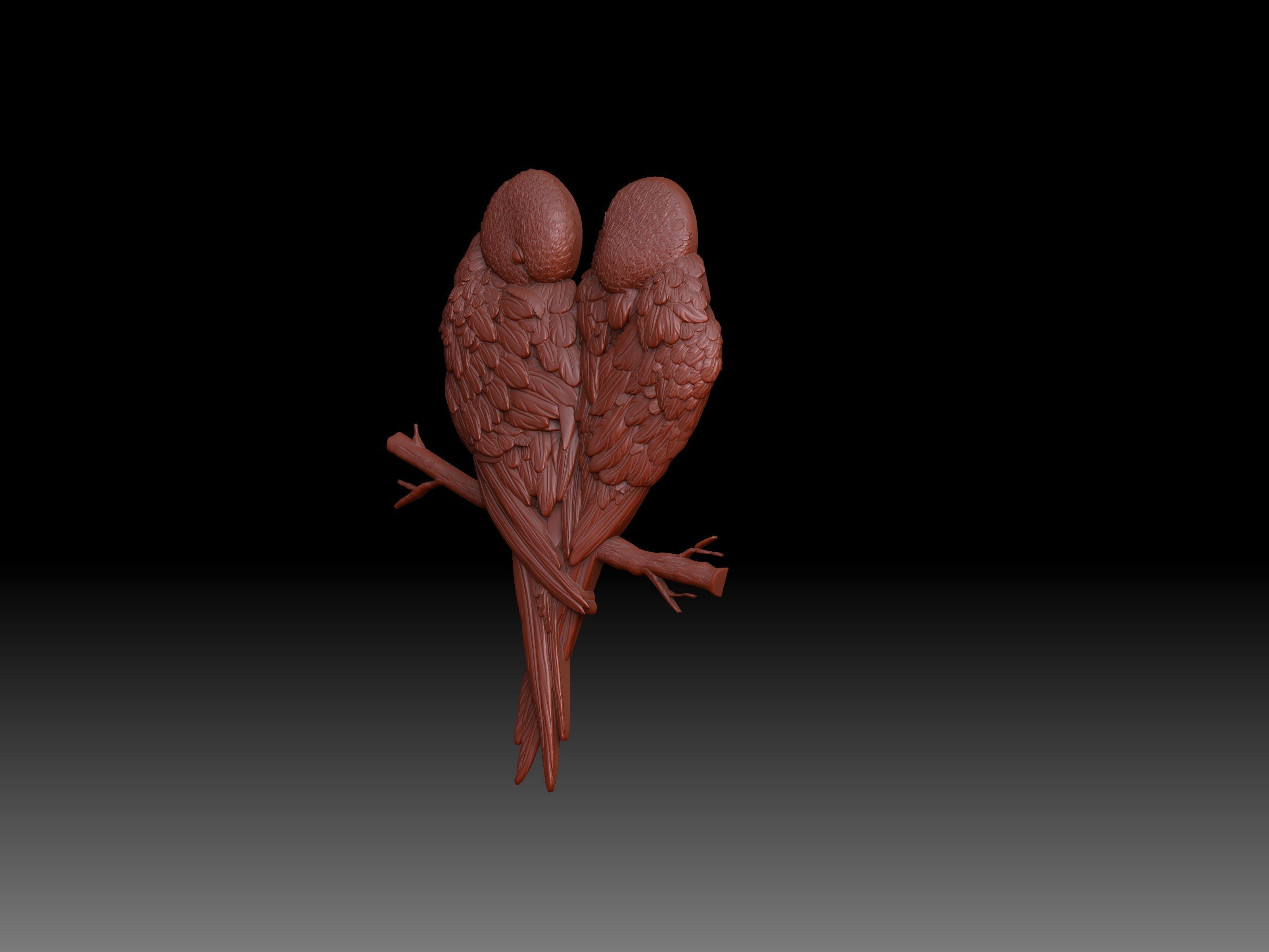Parrots pair of on branch 3D print model_2