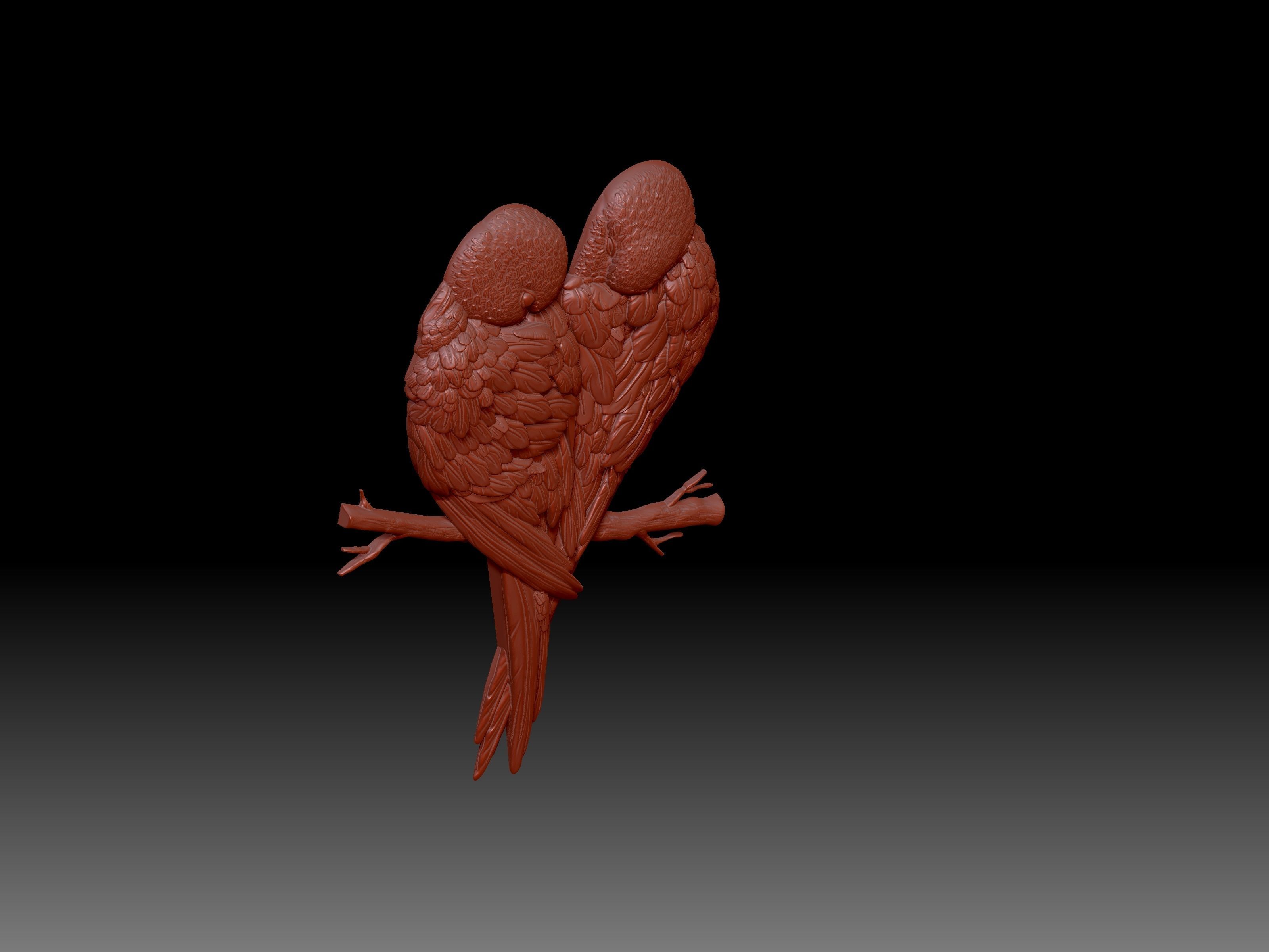 Parrots pair of on branch 3D print model_6