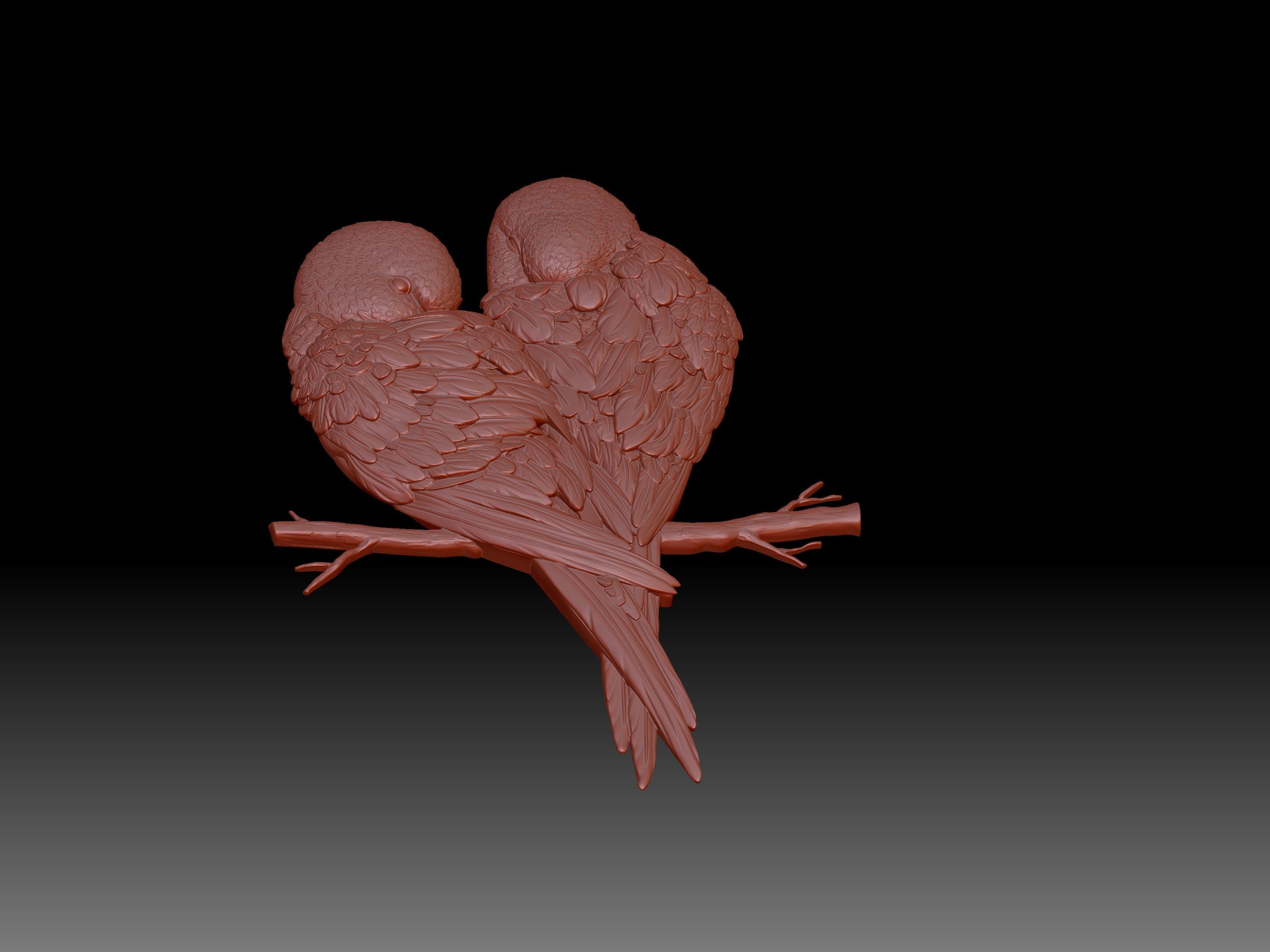 Parrots pair of on branch 3D print model_5