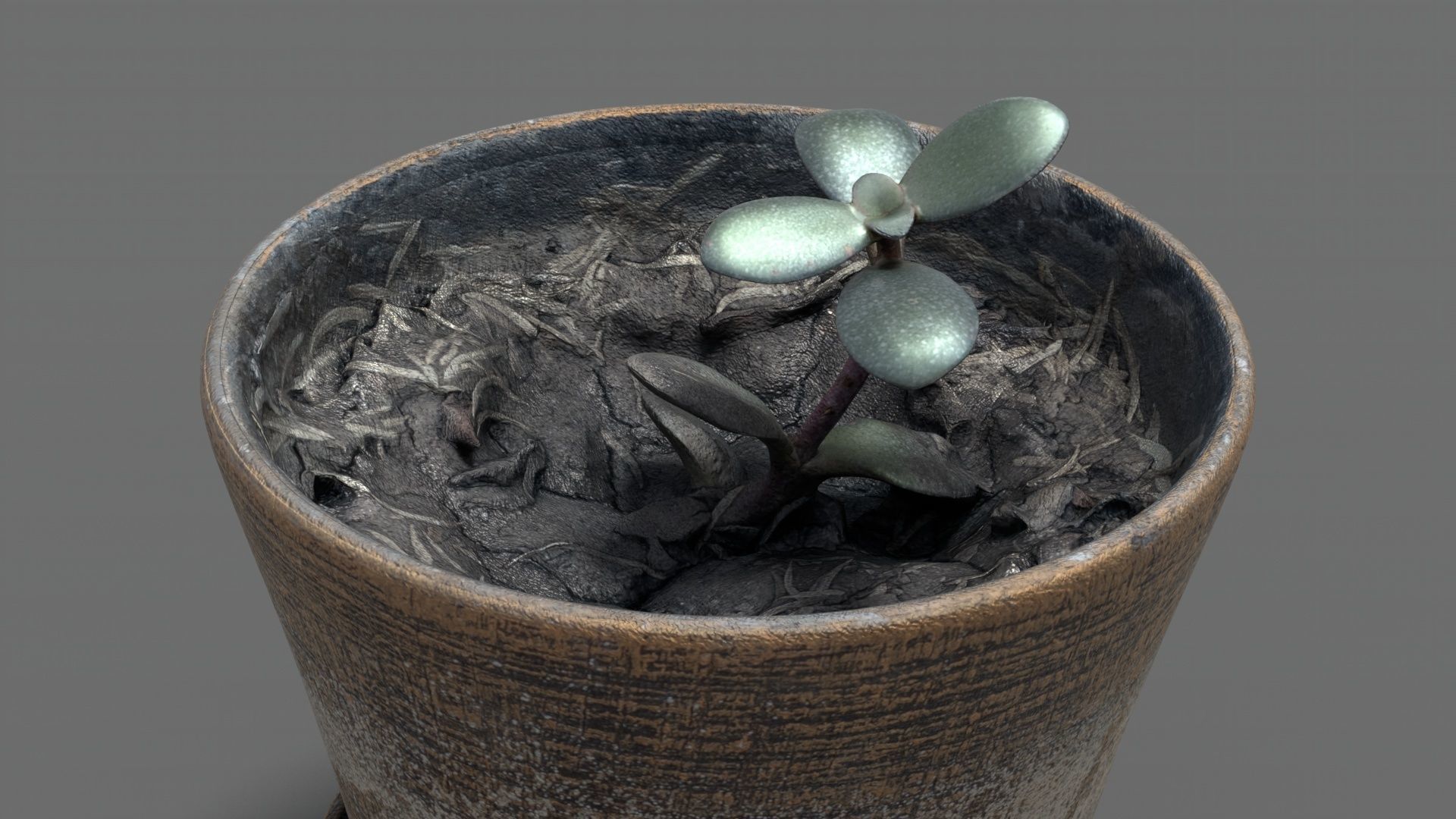 Clay flower pot with flower 3D model_6