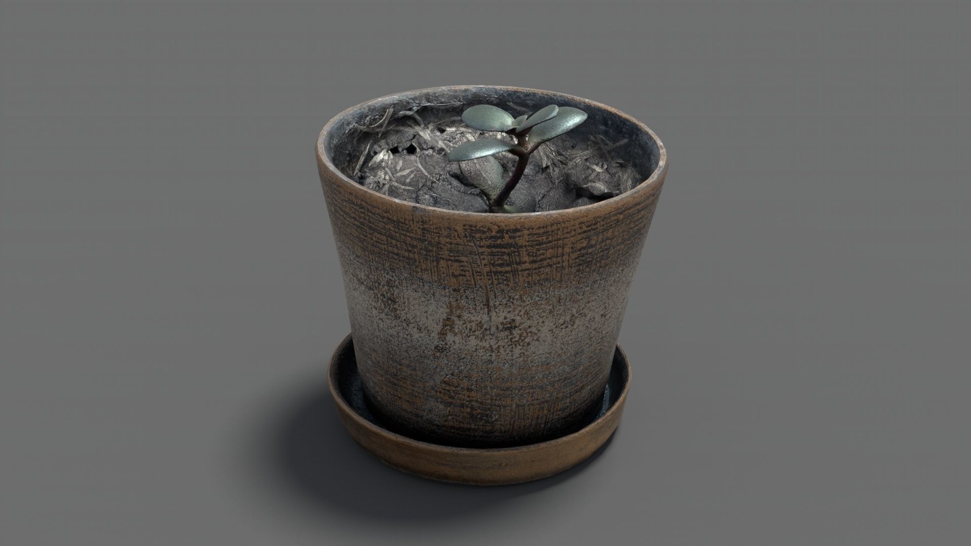Clay flower pot with flower 3D model_5