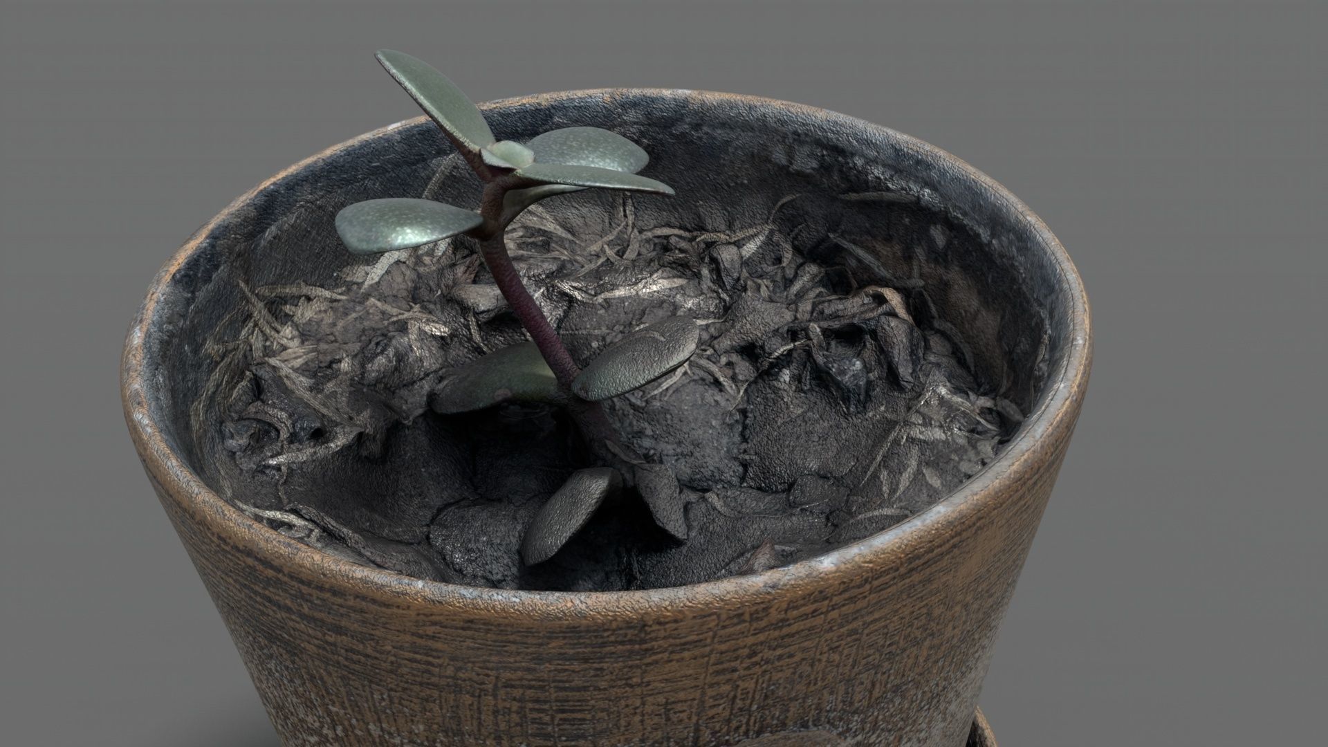Clay flower pot with flower 3D model_7