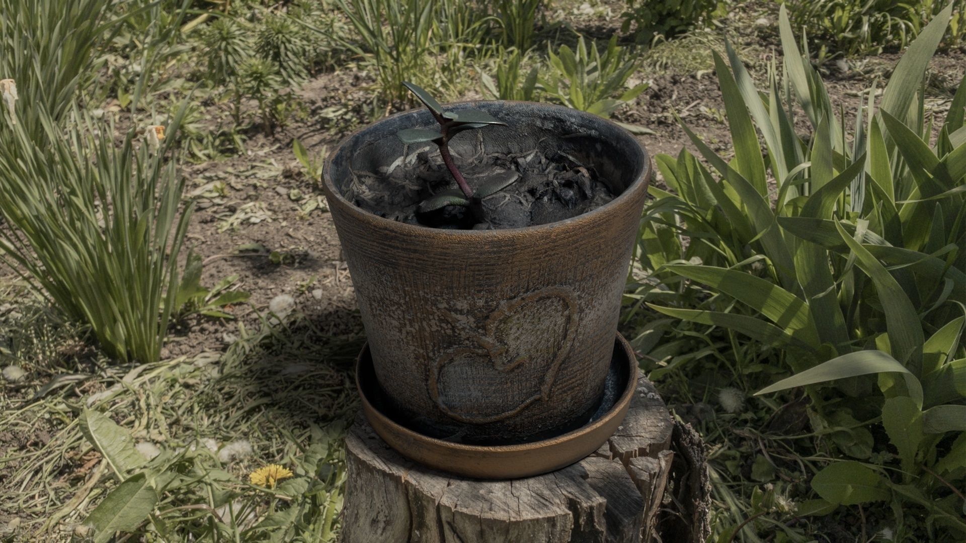 Clay flower pot with flower 3D model_2