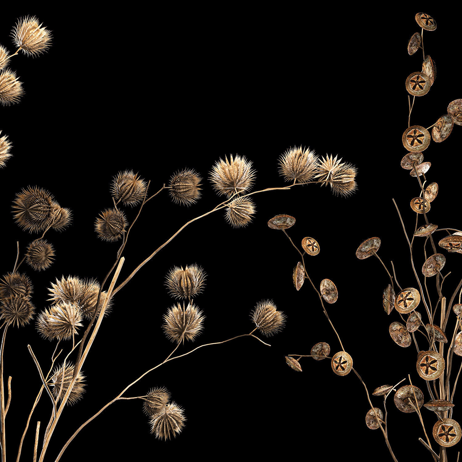 Bouquet of dried flowers from thorn and eucalyptus branches 3D model_3