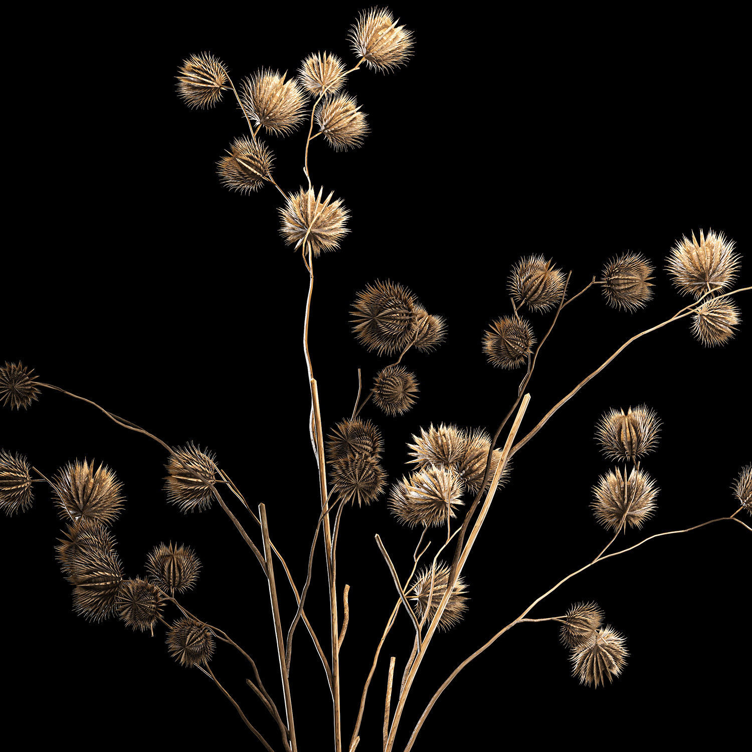 Bouquet of dried flowers from thorn and eucalyptus branches 3D model_2