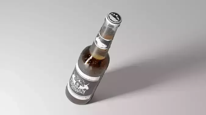 Generic Beer Bottle