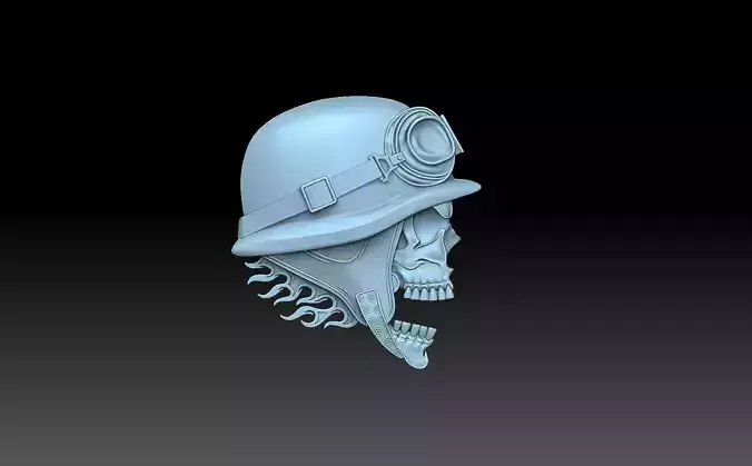 Skull in helmet