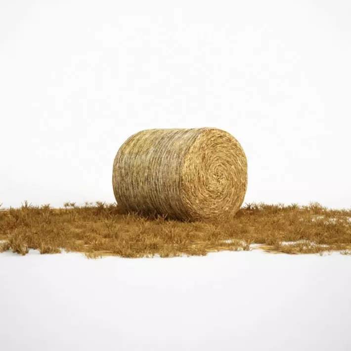 Hay Roll 3D model_0