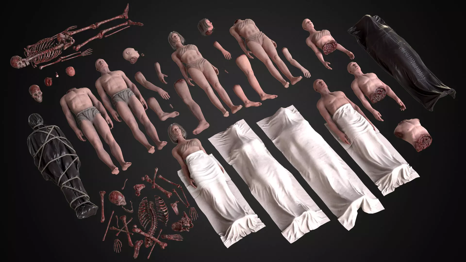 Human Bodies Parts Low-poly 3D model