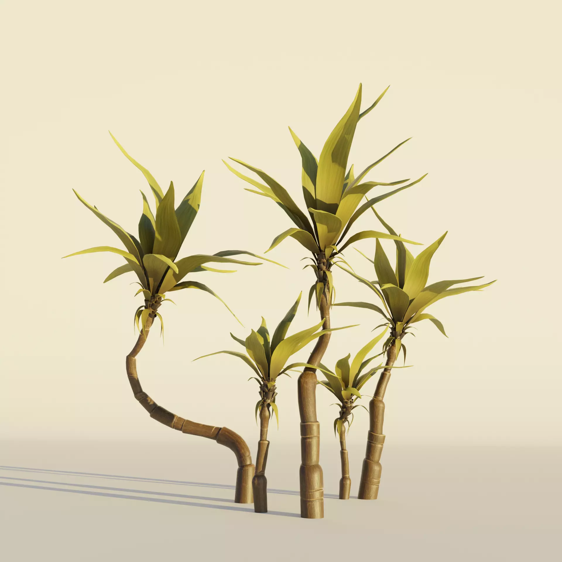 Palm tree set Cartoon Stylized Hand painted vol2 Low-poly 3D model