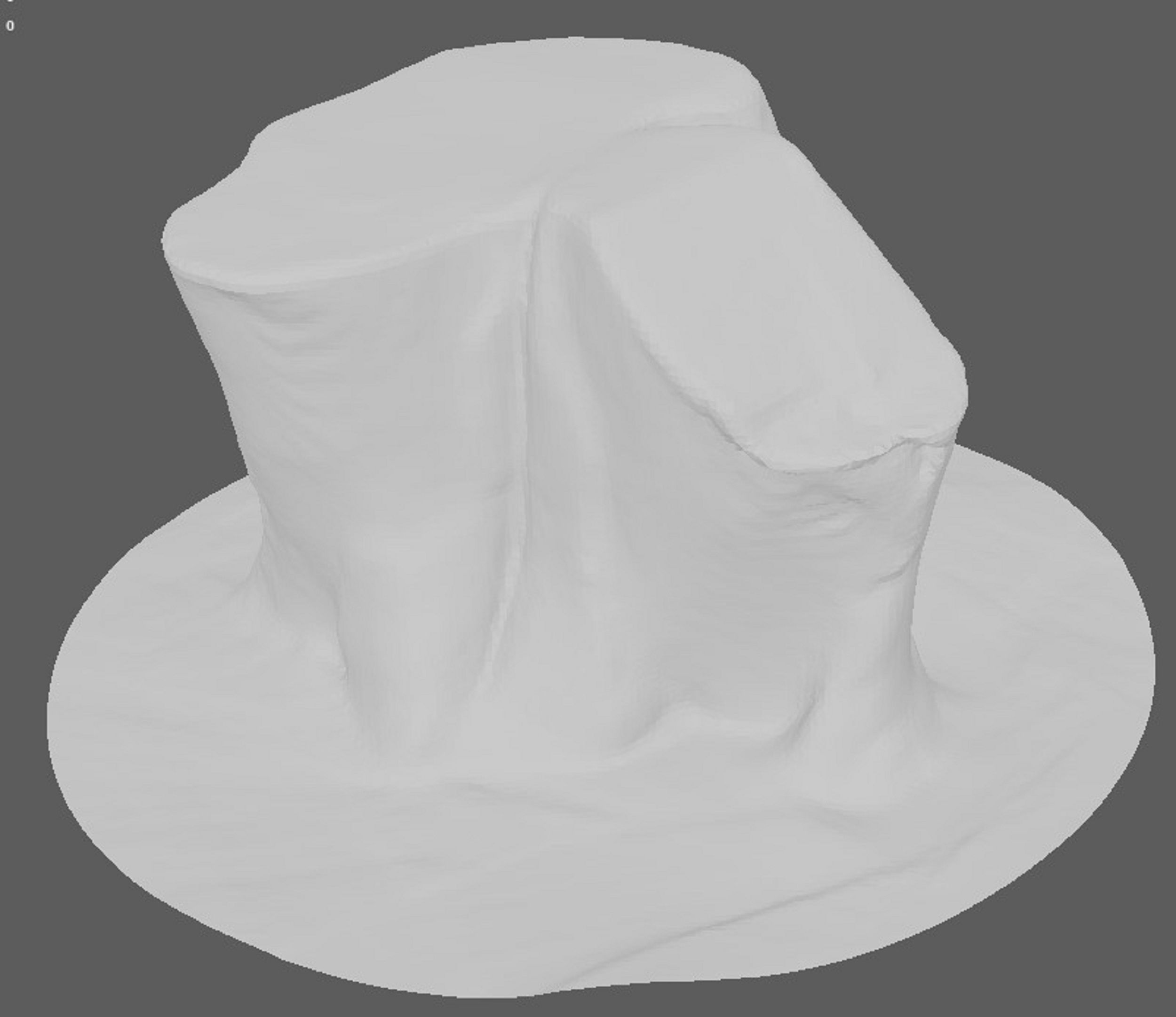 Tree Trunk for 3d Model - 3d Scan 3D model_6