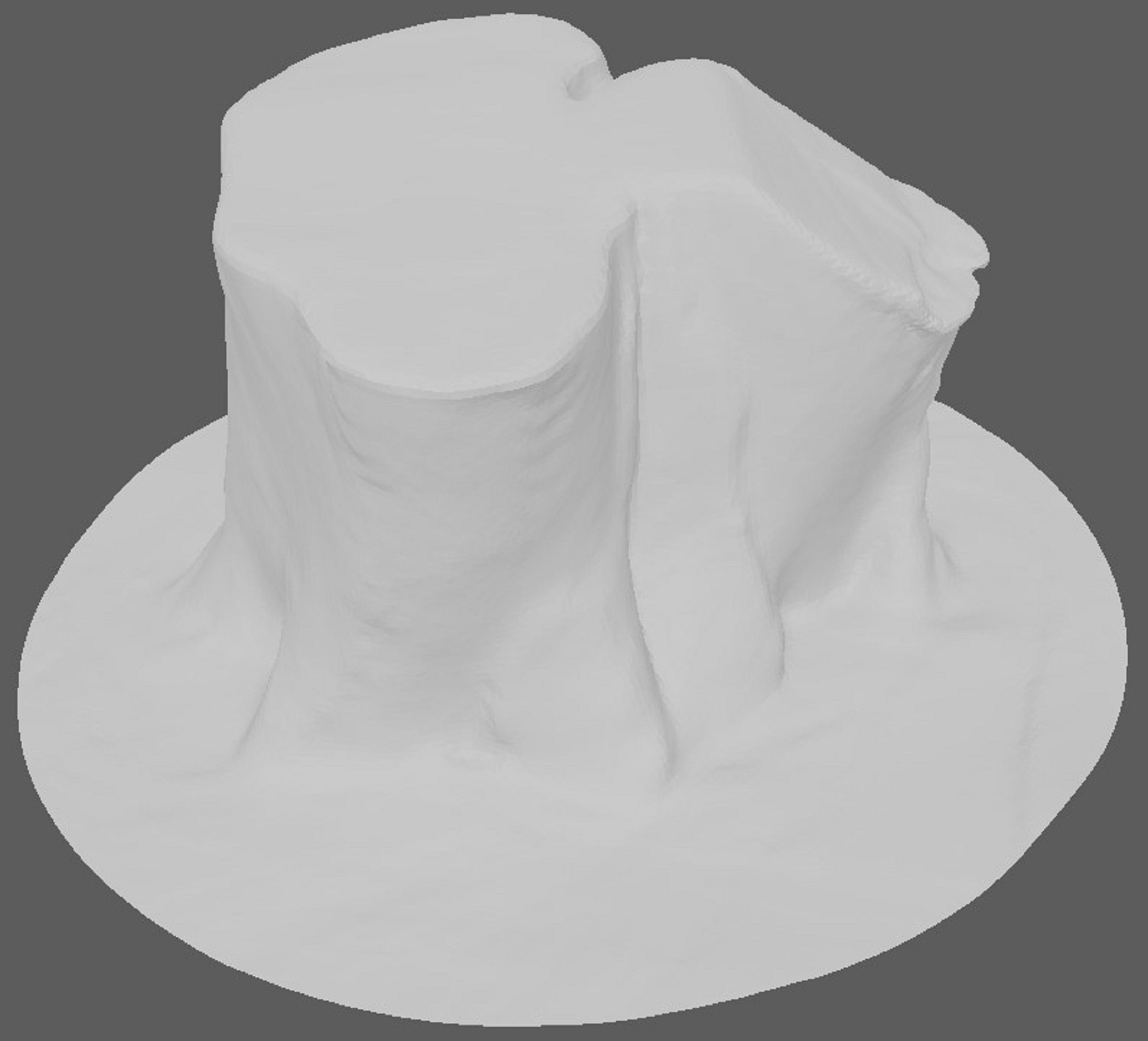 Tree Trunk for 3d Model - 3d Scan 3D model_4