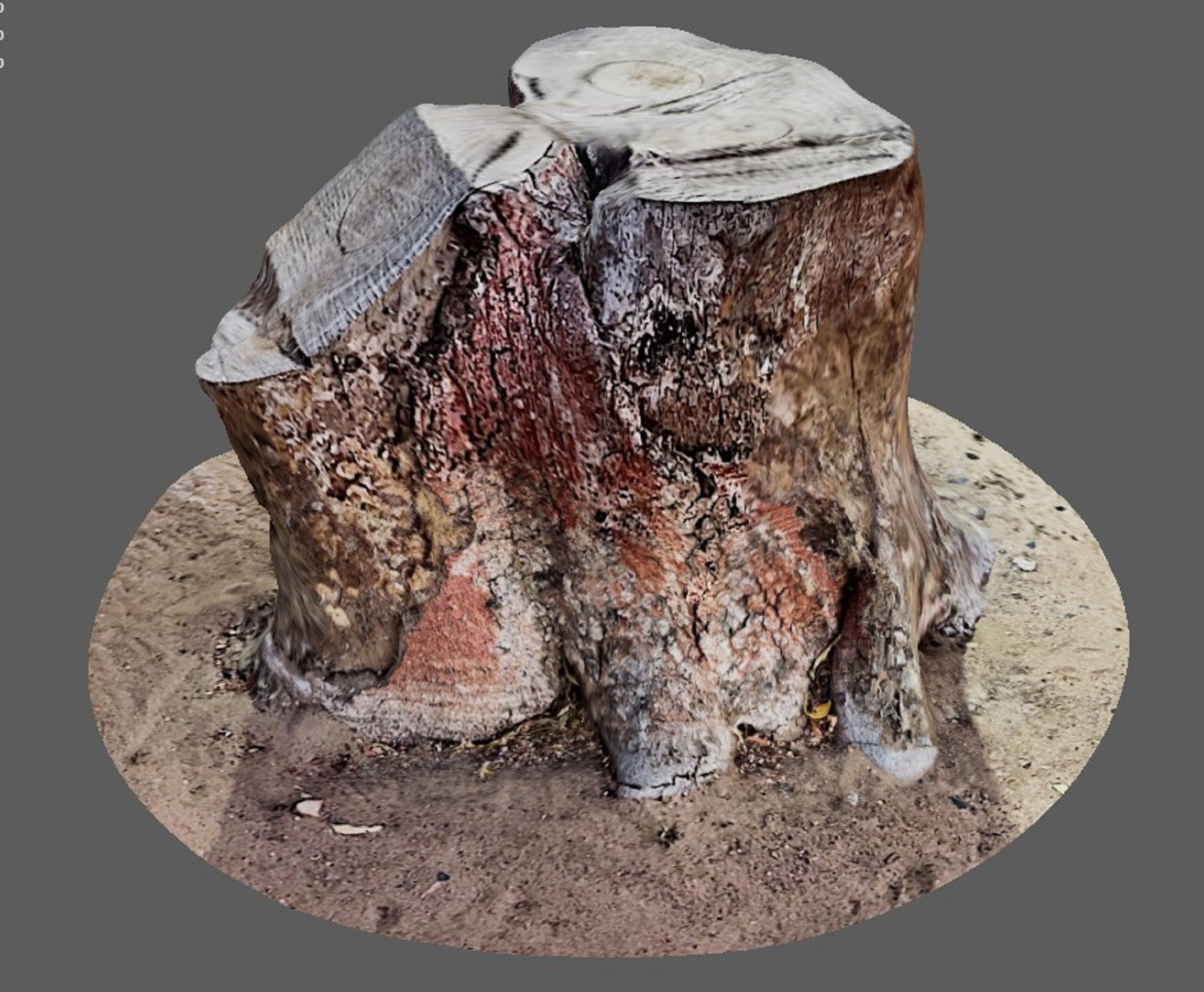Tree Trunk for 3d Model - 3d Scan 3D model_7