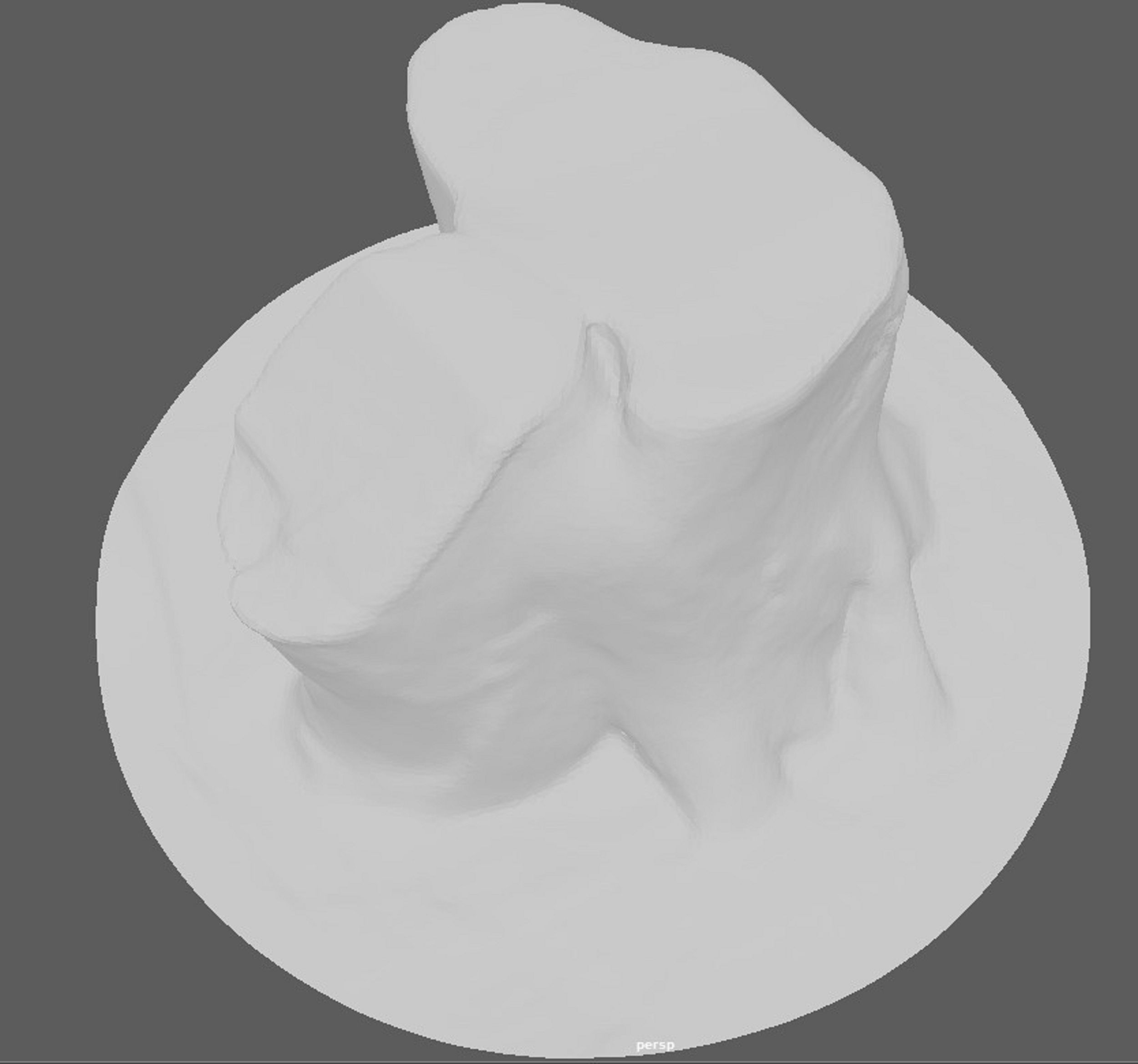 Tree Trunk for 3d Model - 3d Scan 3D model_9