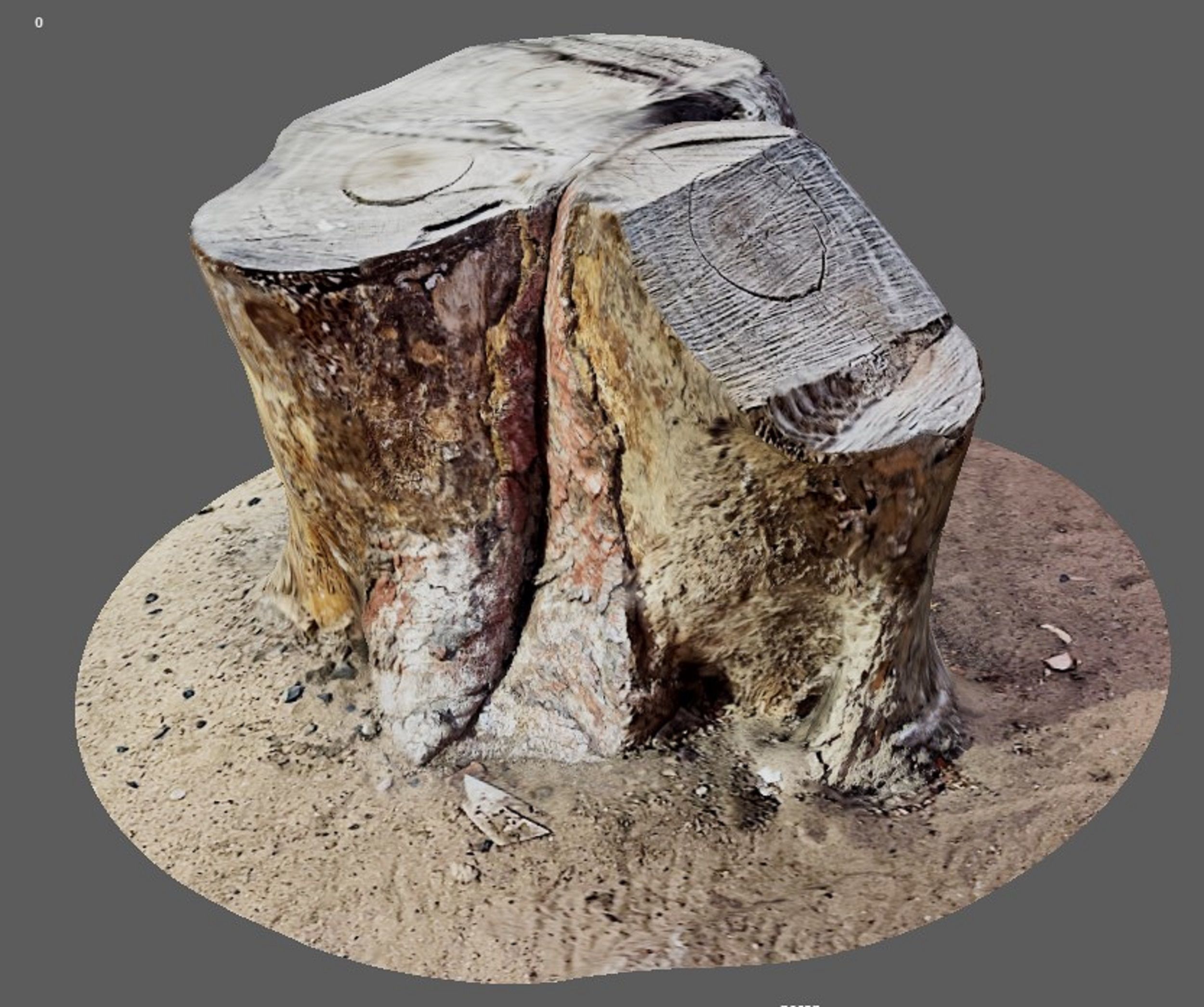Tree Trunk for 3d Model - 3d Scan 3D model_1