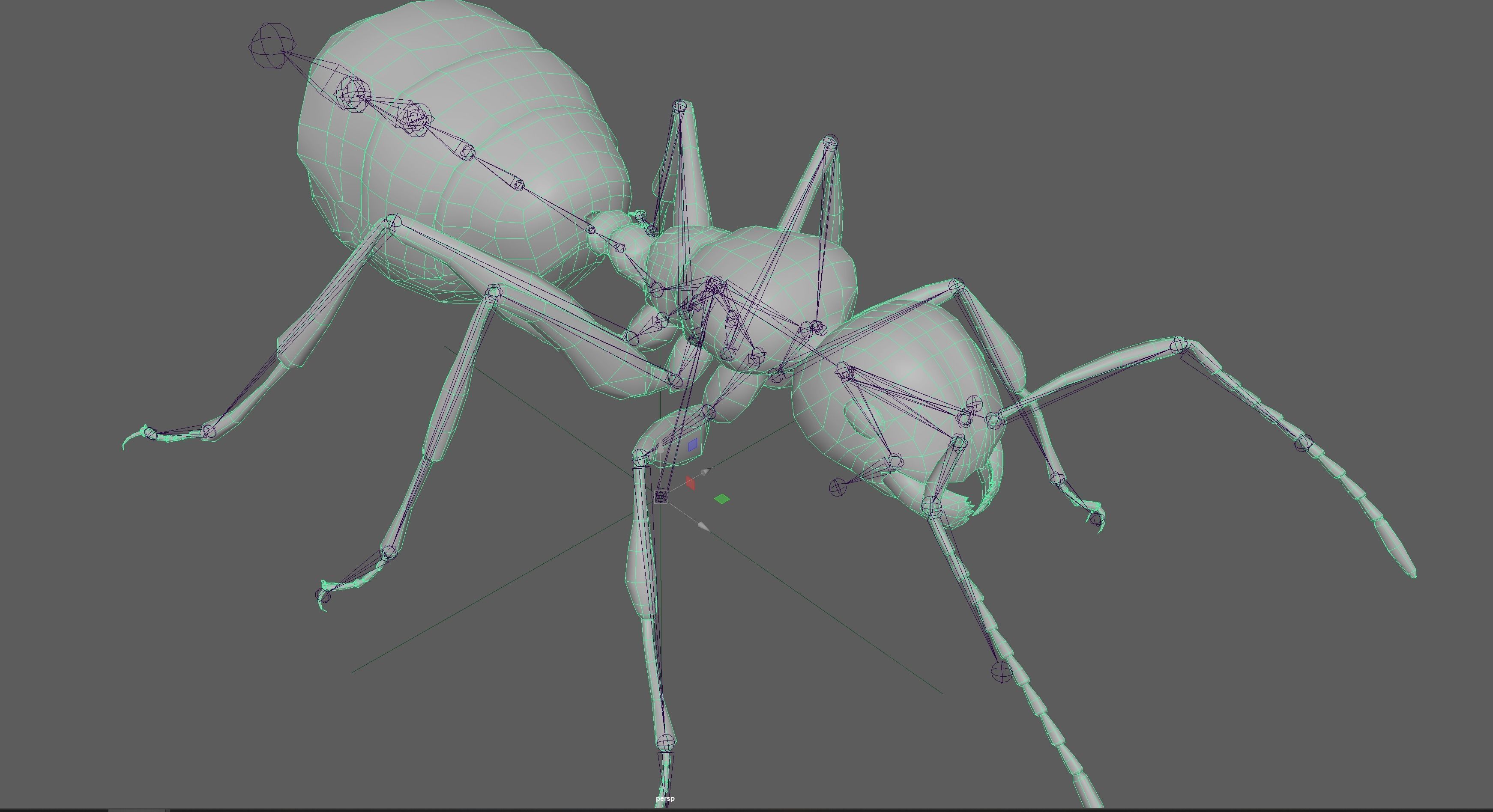 Black Ant  Low-poly 3D model_13