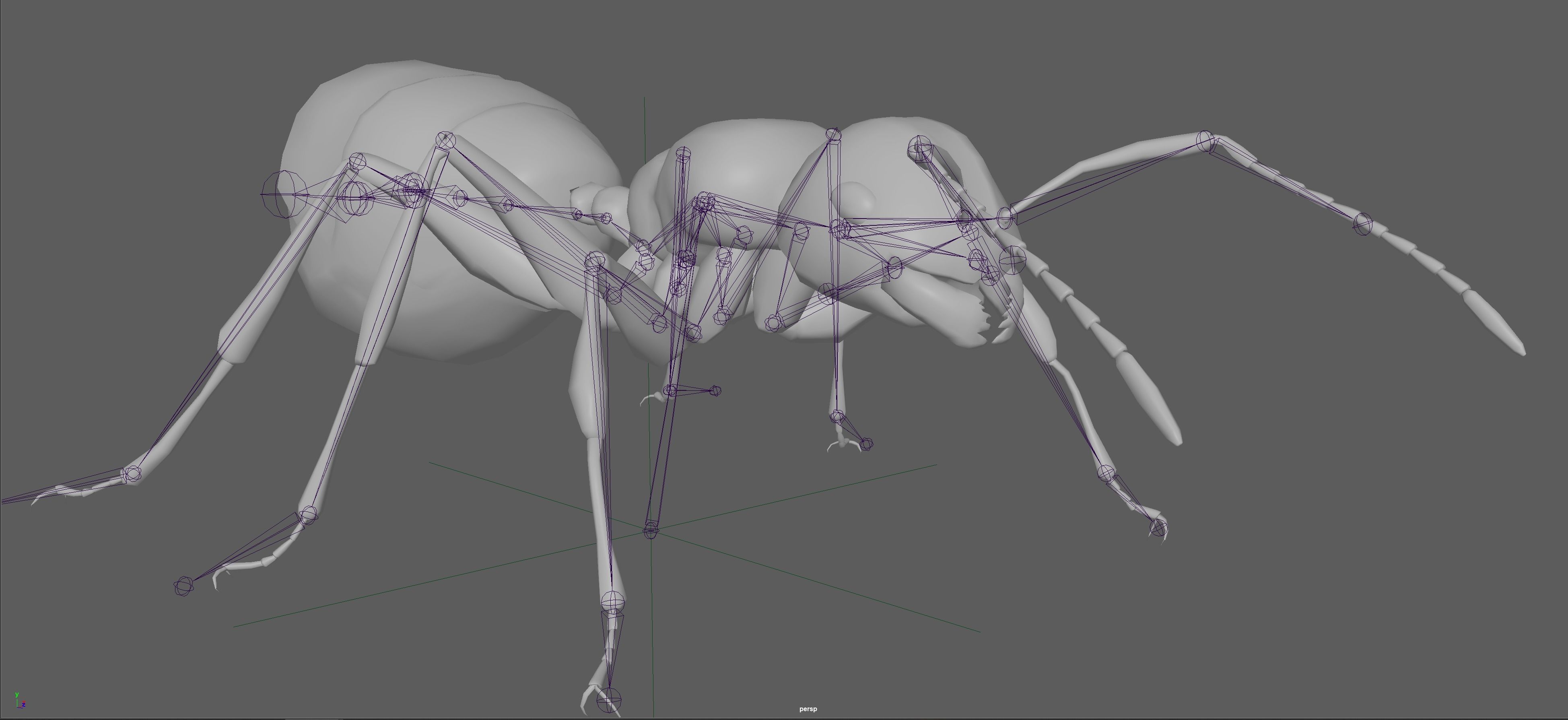 Black Ant  Low-poly 3D model_16