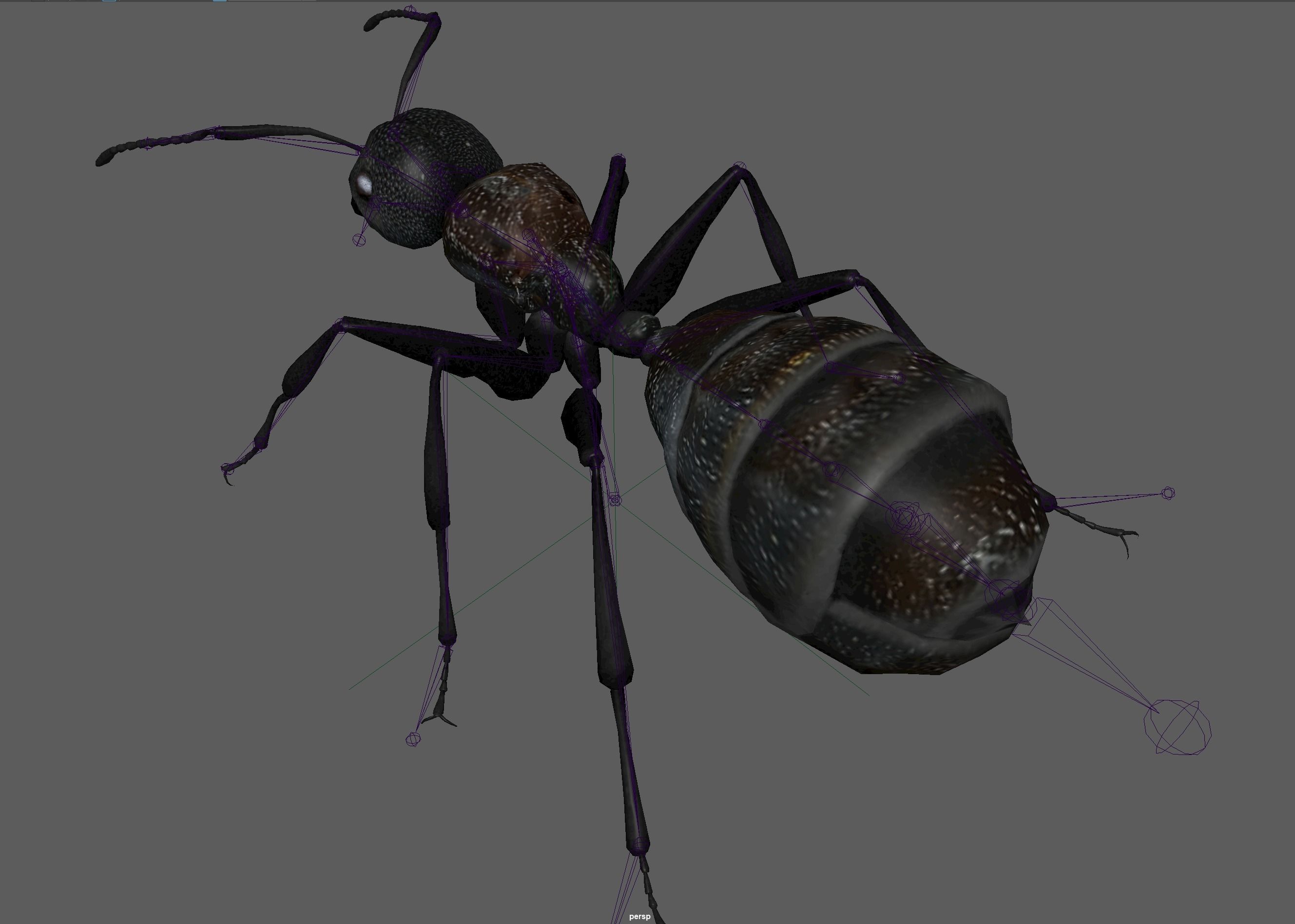 Black Ant  Low-poly 3D model_19