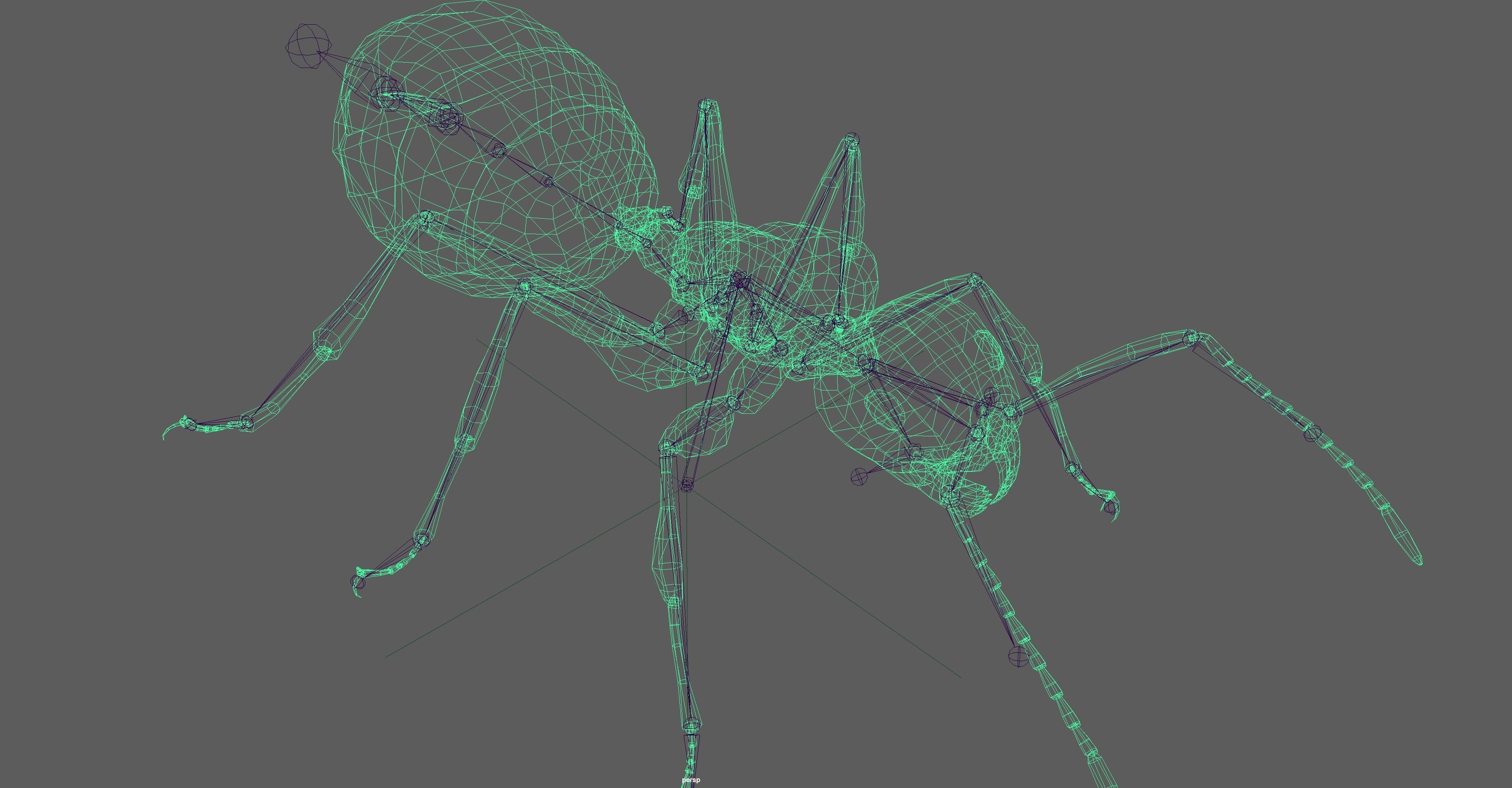 Black Ant  Low-poly 3D model_14