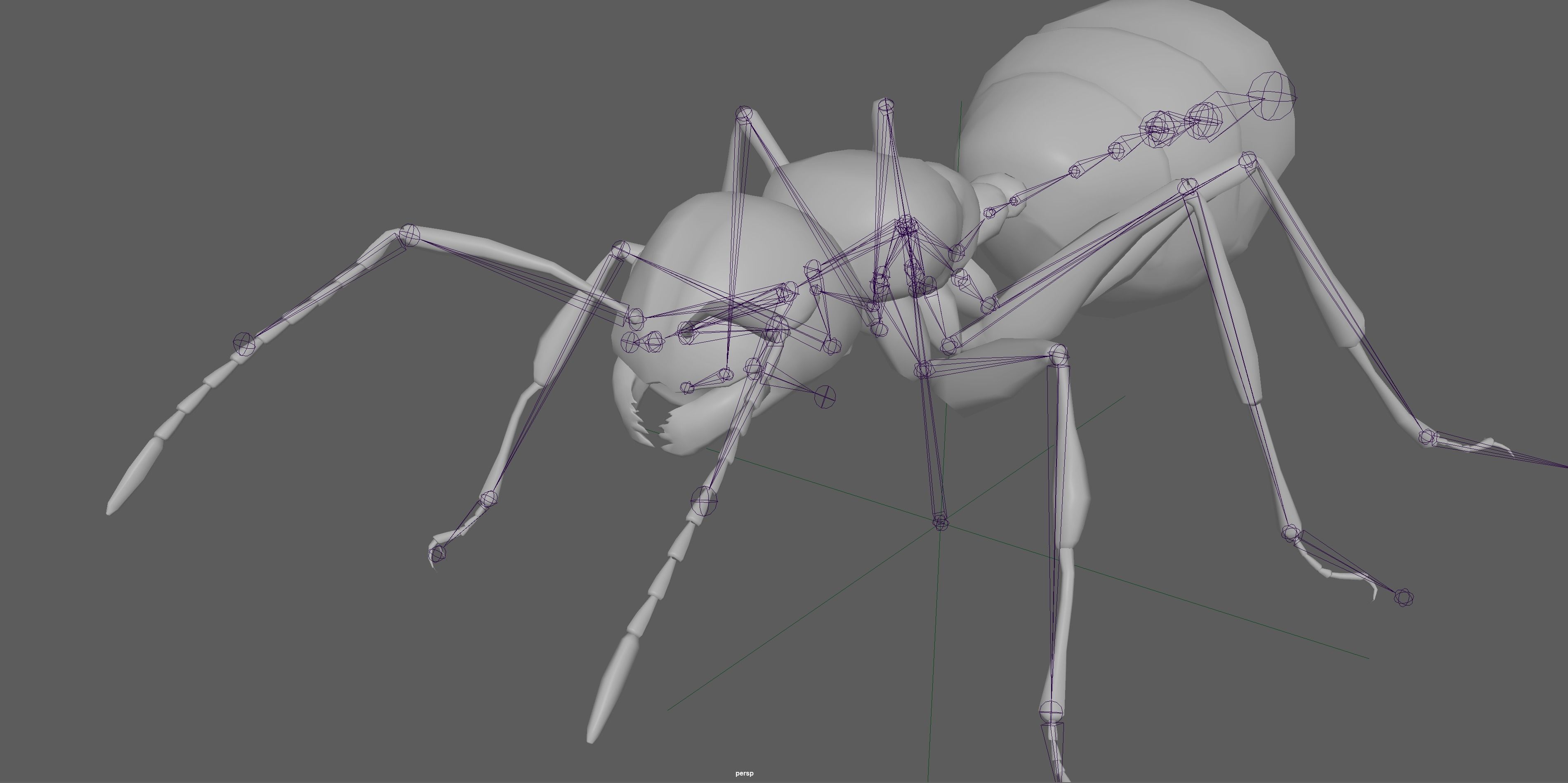 Black Ant  Low-poly 3D model_9