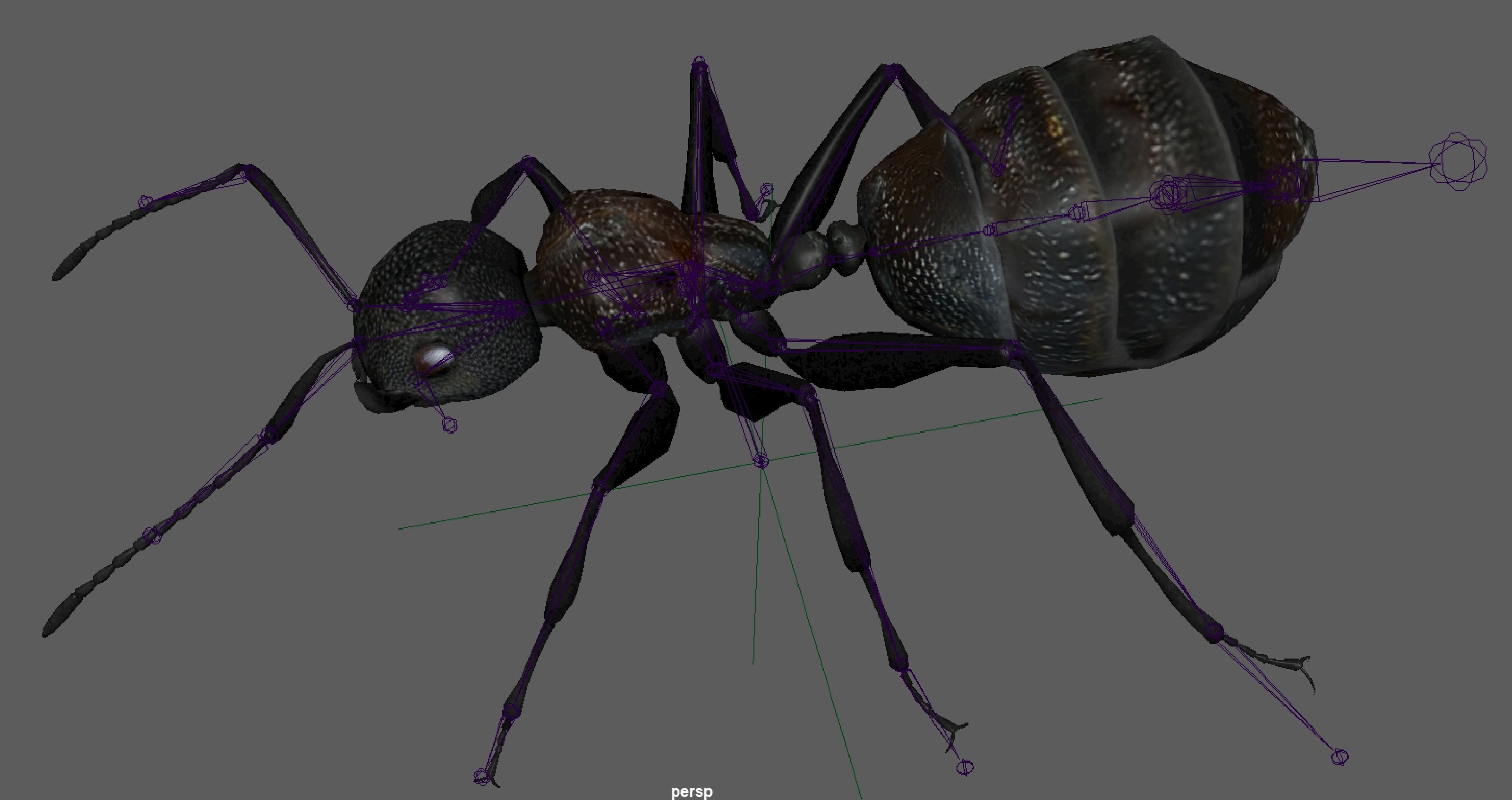 Black Ant  Low-poly 3D model_12