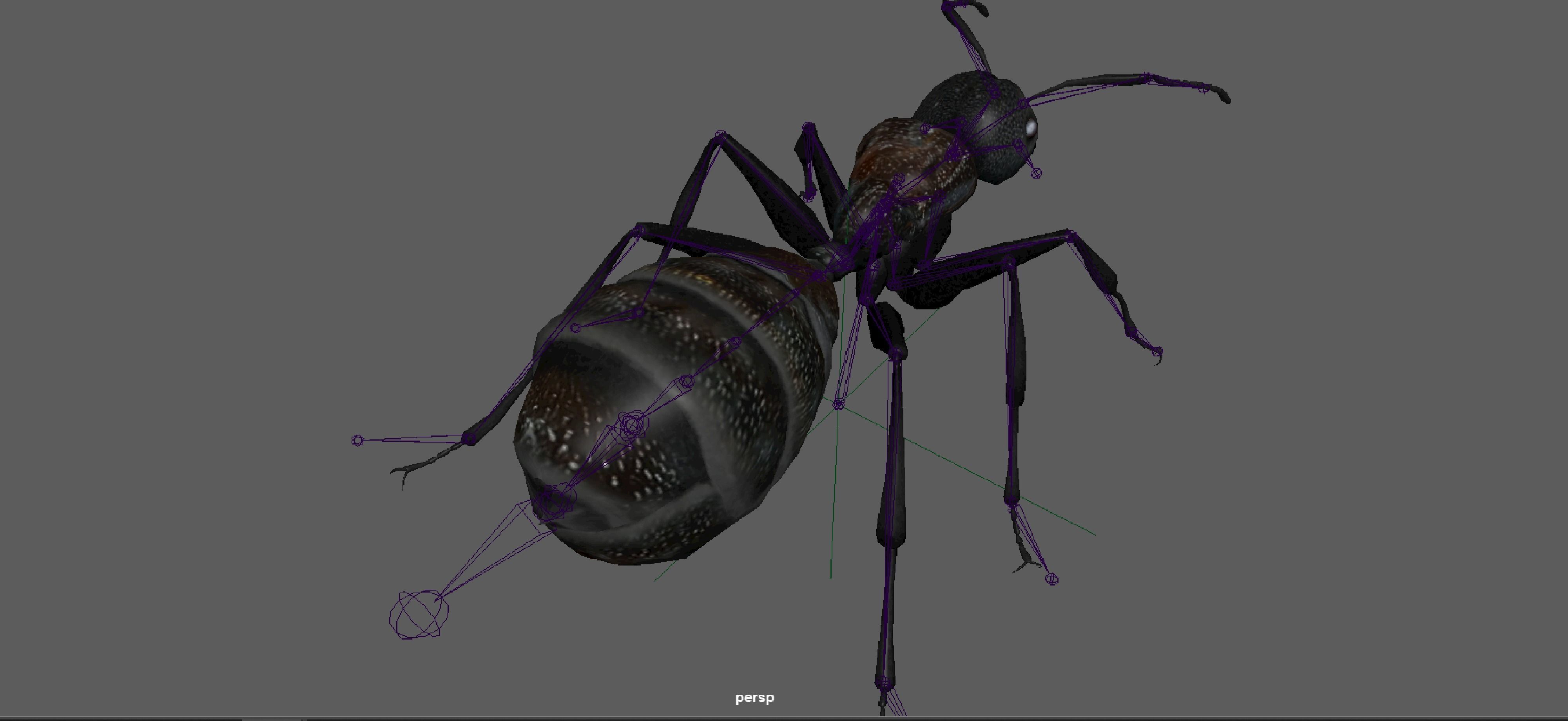 Black Ant  Low-poly 3D model_18