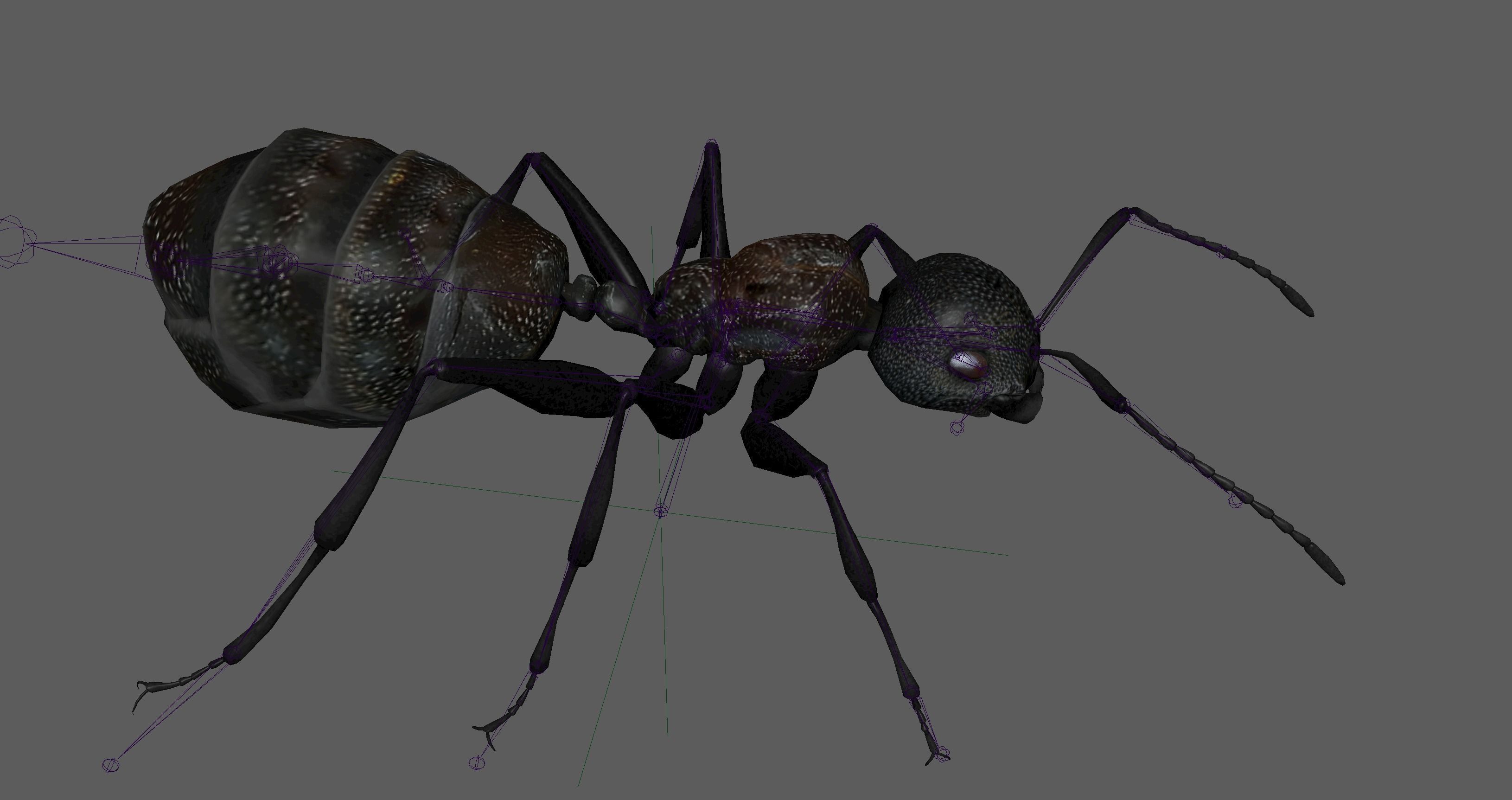 Black Ant  Low-poly 3D model_10
