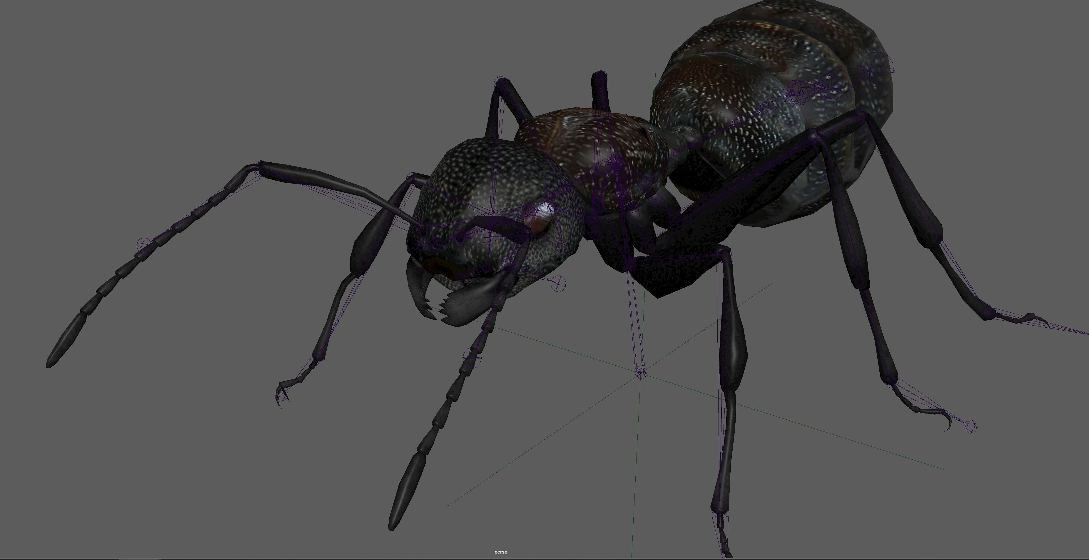 Black Ant  Low-poly 3D model_8