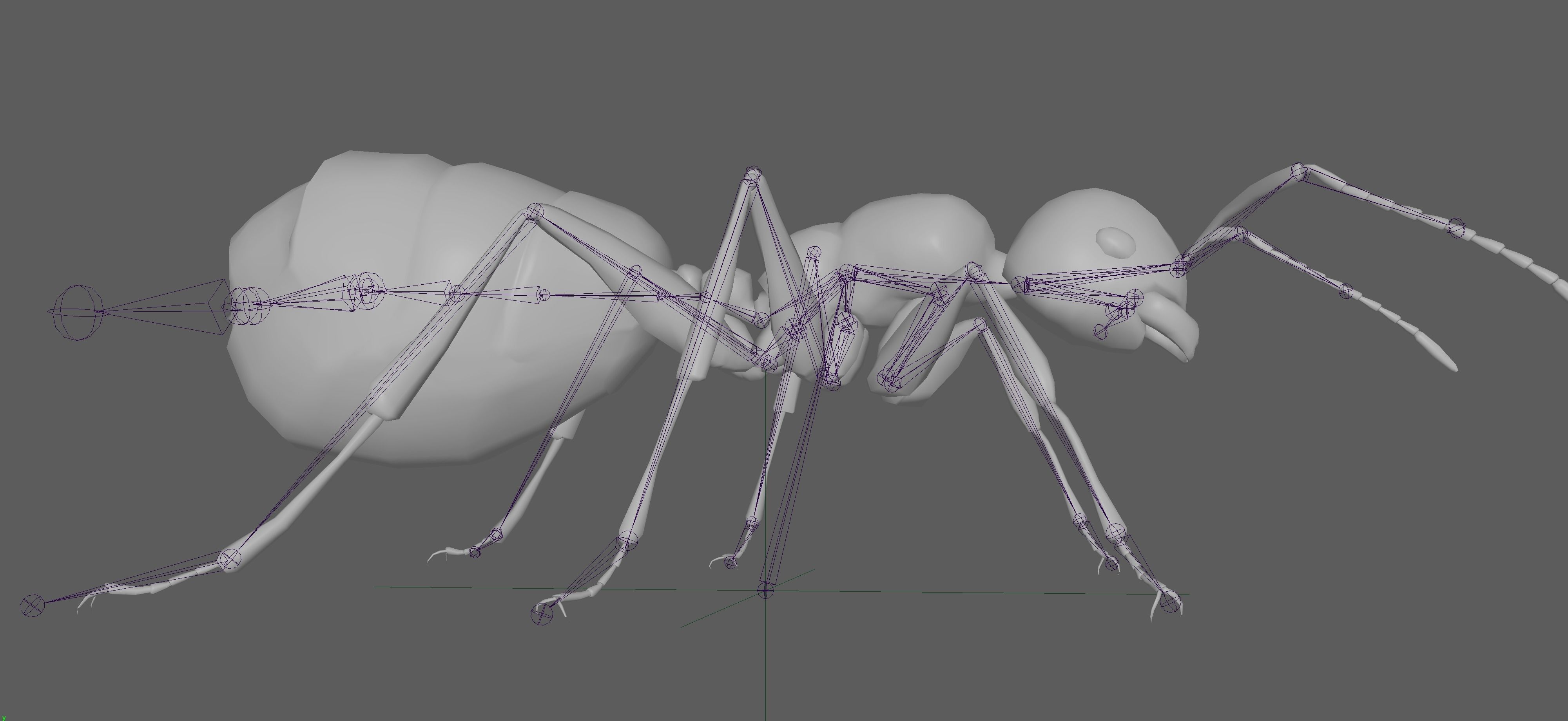 Black Ant  Low-poly 3D model_17
