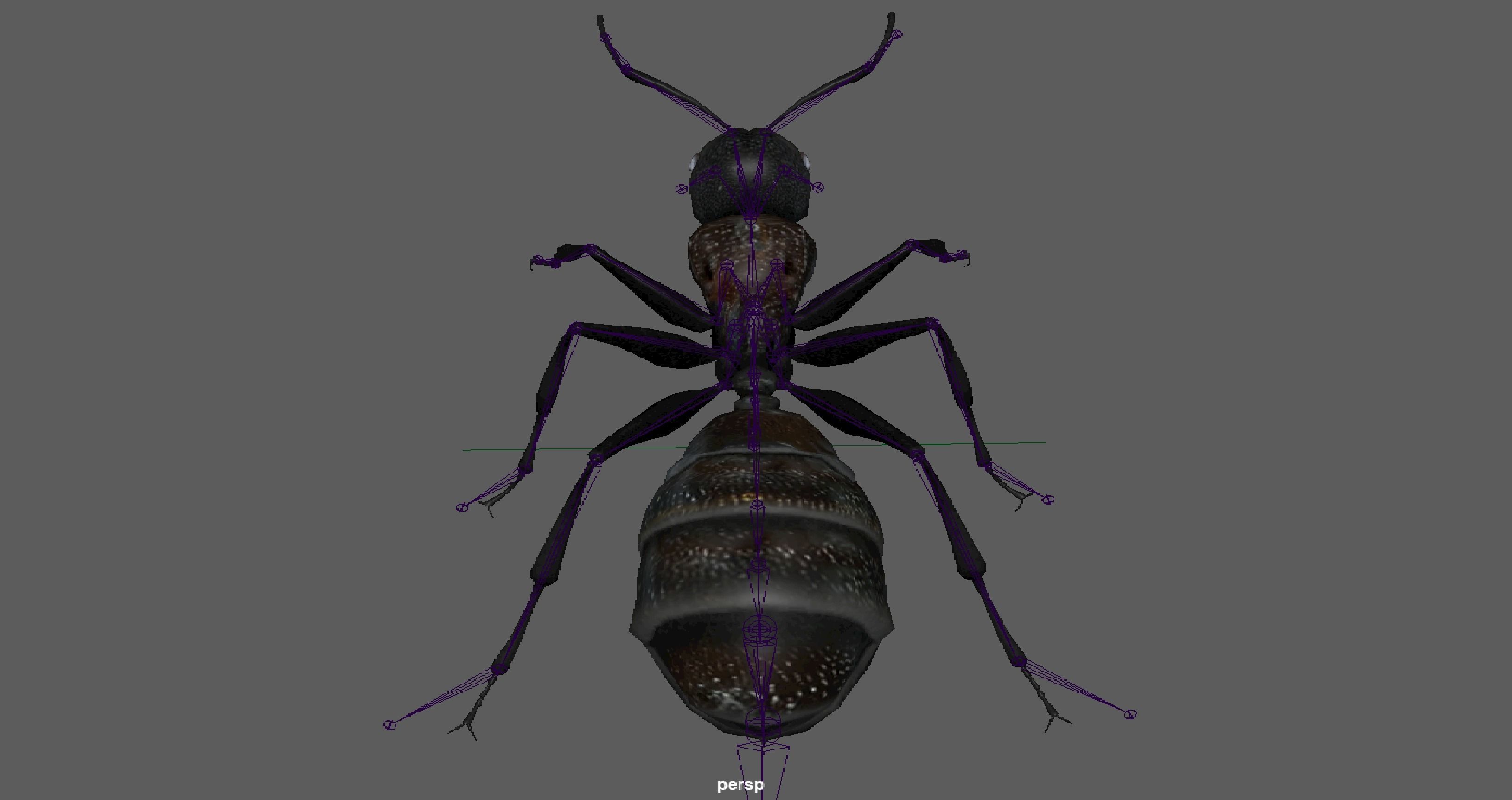 Black Ant  Low-poly 3D model_11