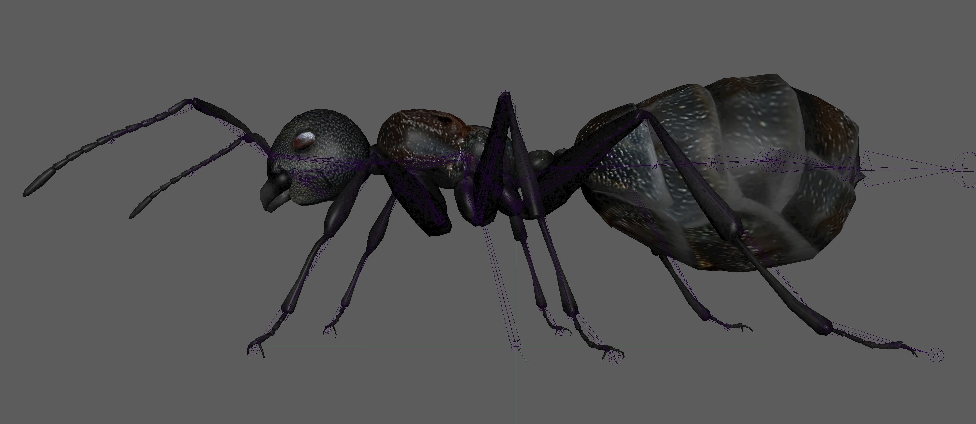 Black Ant  Low-poly 3D model_20