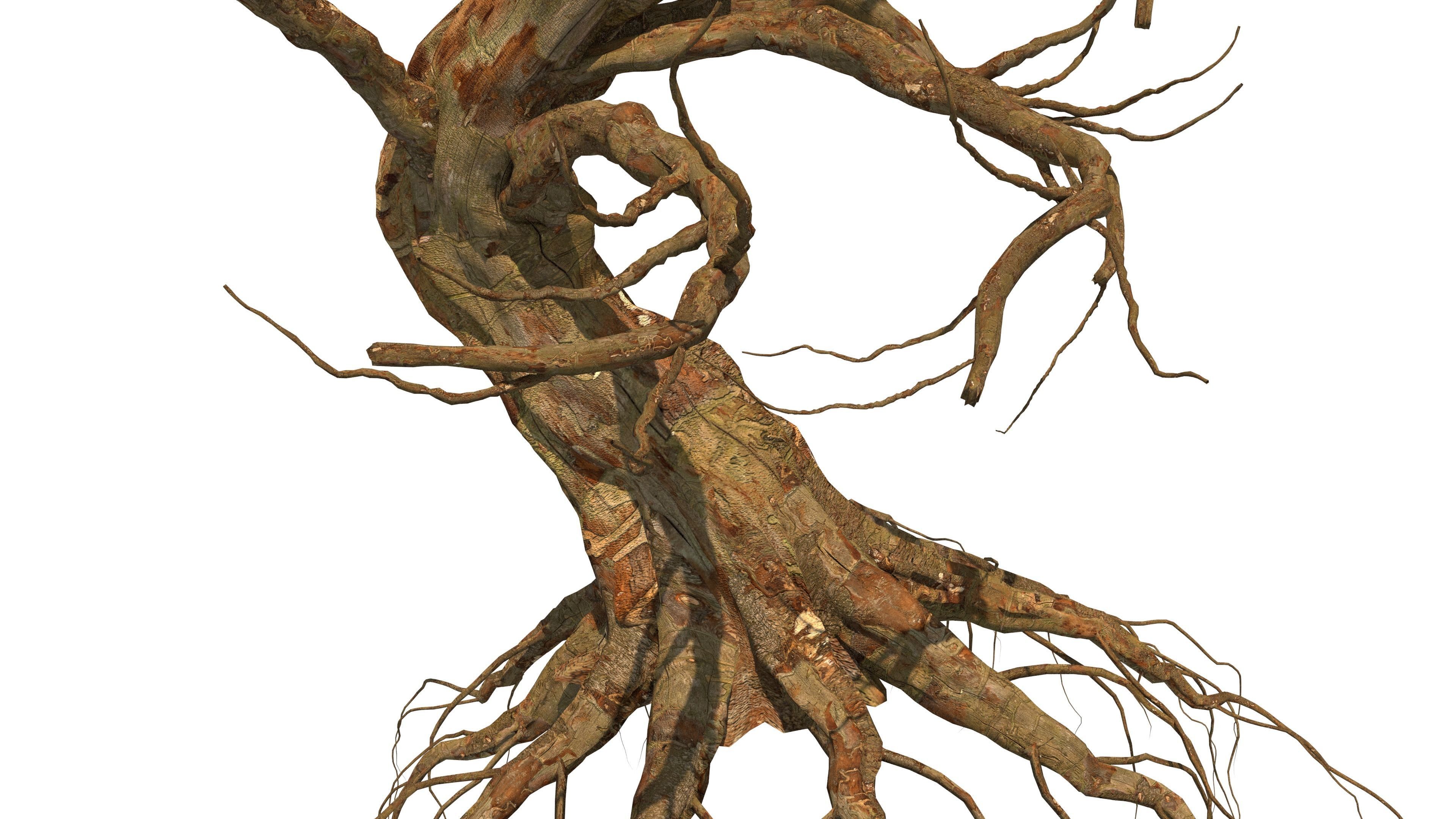 Dead Tree 3D model_5