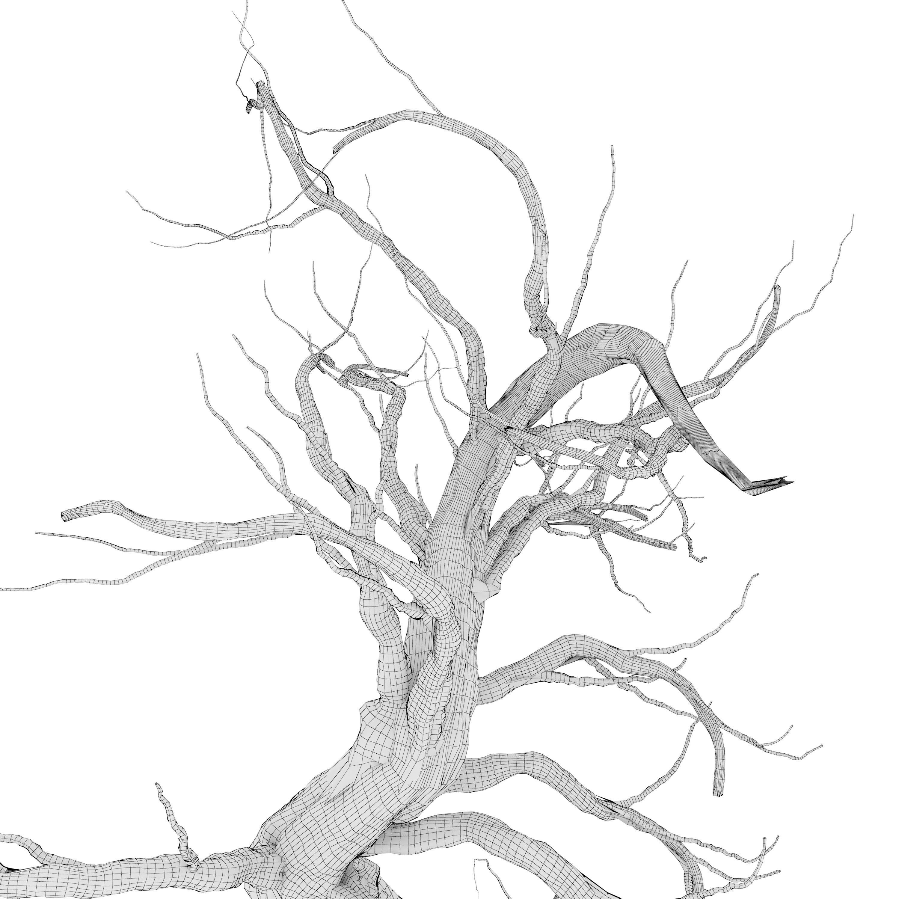 Dead Tree 3D model_4