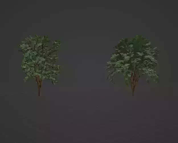 Realistic tree two trees