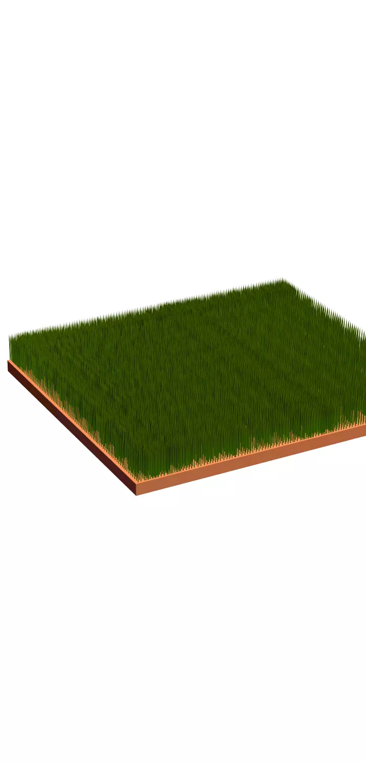 Grass field Free low-poly 3D model