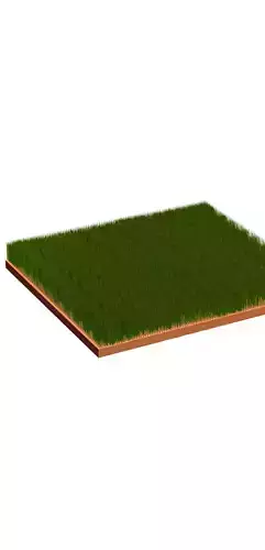 Grass field
