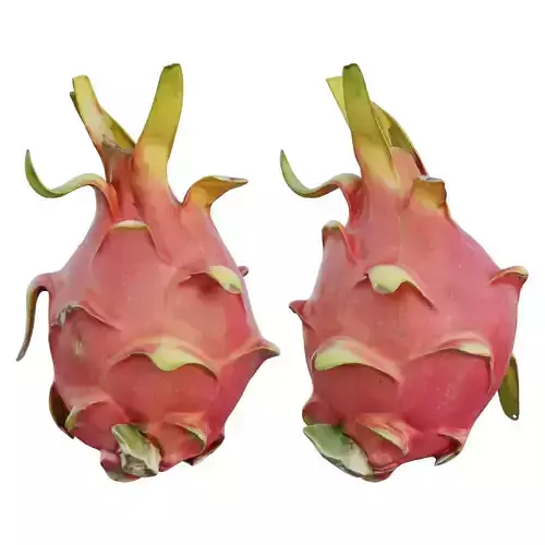 Dragon fruit 05 3D model