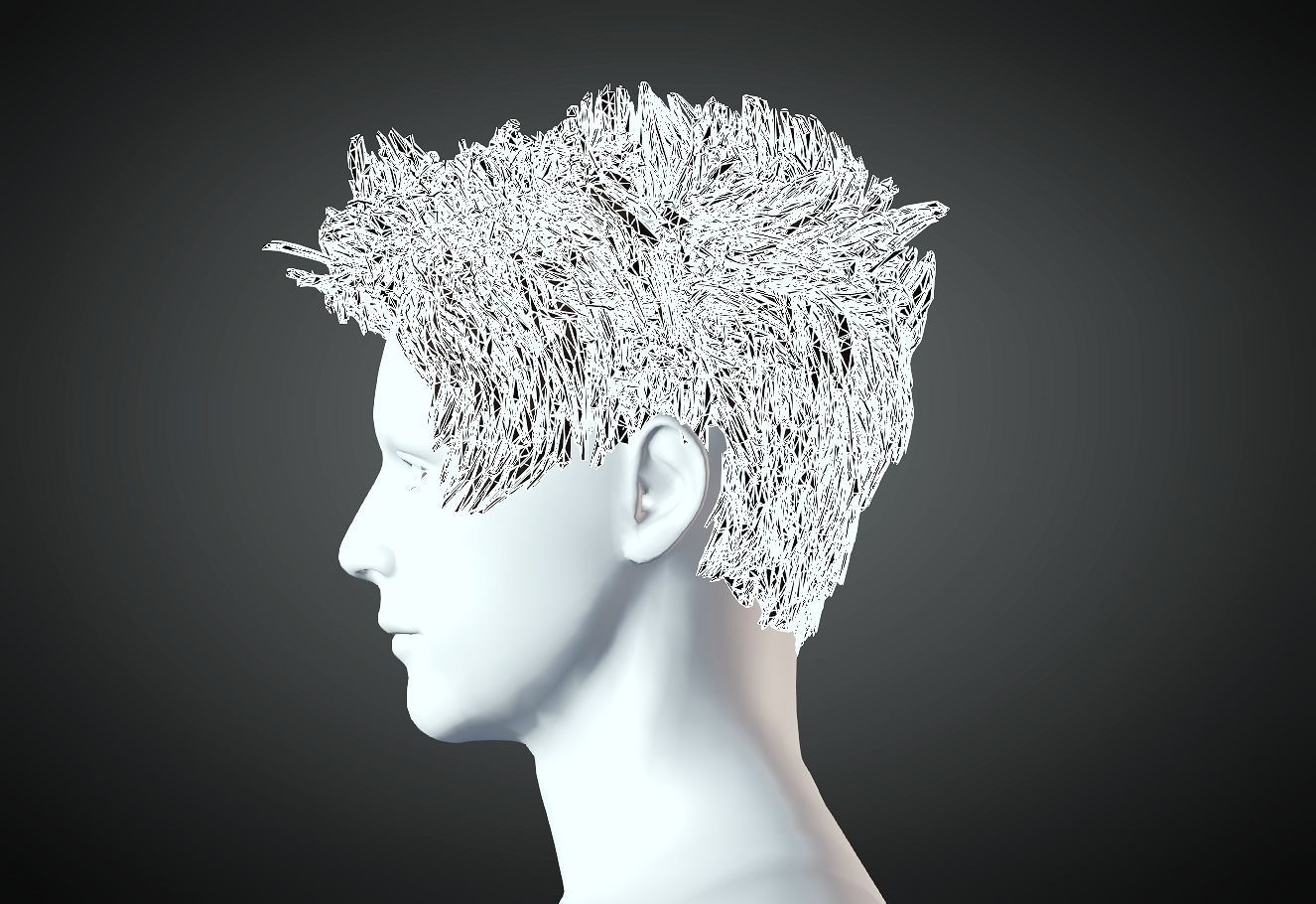 3D Hair style for Man 74 3D model 3D print model_3