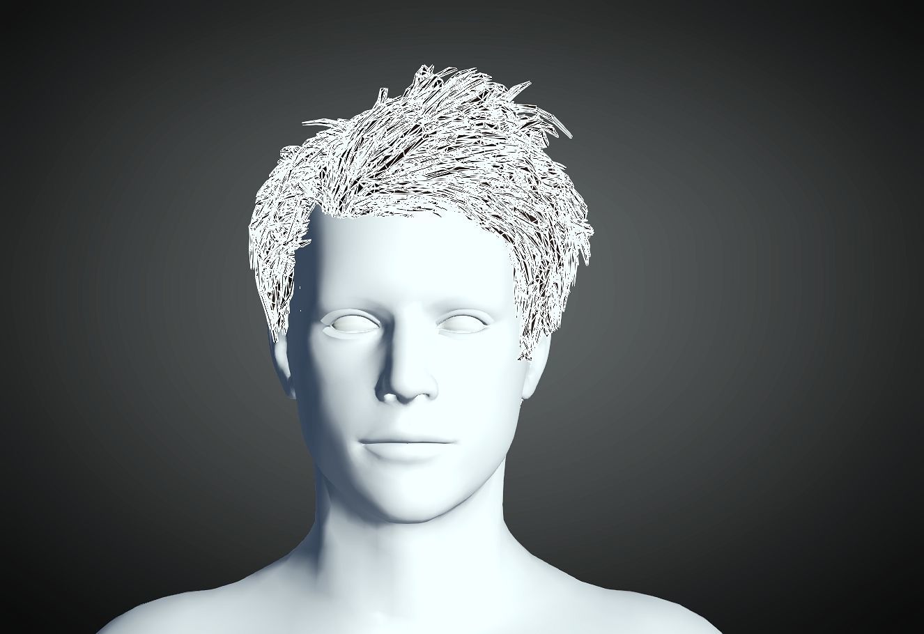 3D Hair style for Man 74 3D model 3D print model_4