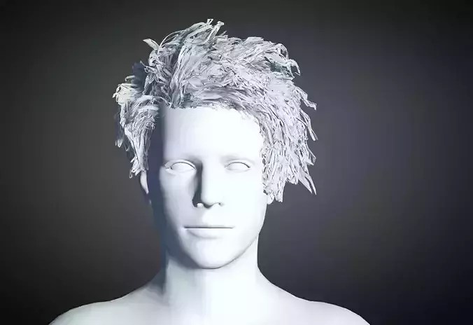 3D Hair style for Man 75 3D model