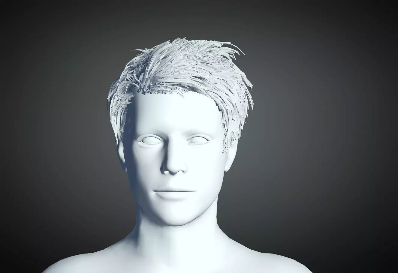 3D Hair style for Man 77 3D model 3D print model_0