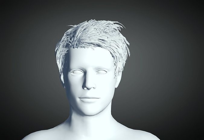 3D Hair style for Man 77 3D model 3D print model