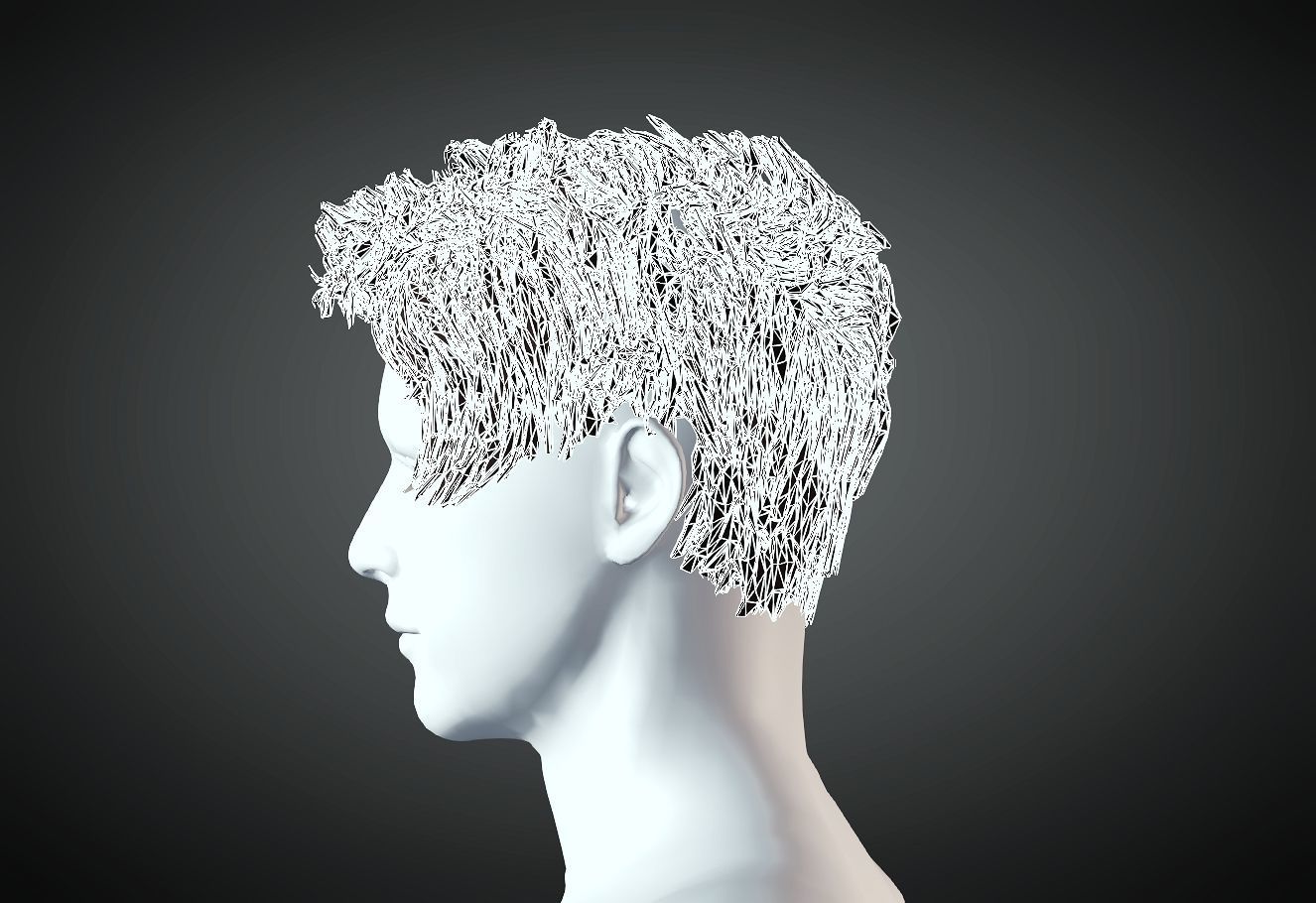 3D Hair style for Man 77 3D model 3D print model_3