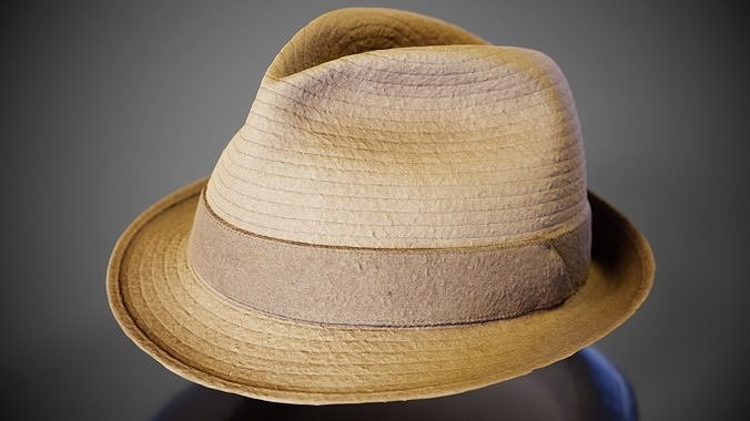 Flexy Hat Low-poly 3D model