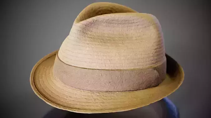Flexy Hat Low-poly 3D model