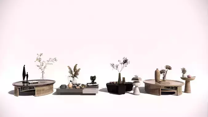 Coffee tables  decorative items  collectibles