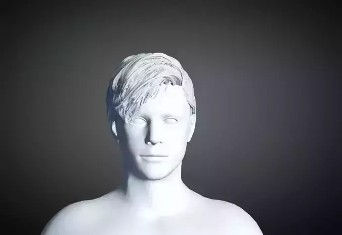 3D Hair style for Man 79 3D model