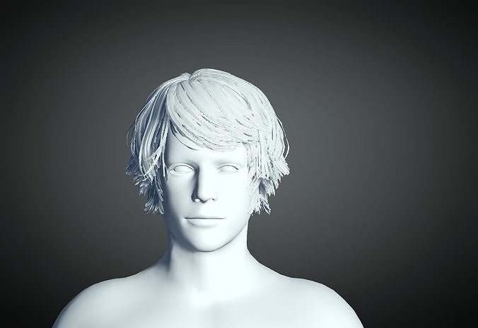 3D Hair style for Man 80 3D model 3D print model