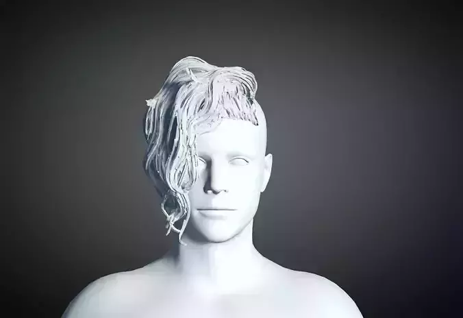 D Hair style for Man 81 3D model
